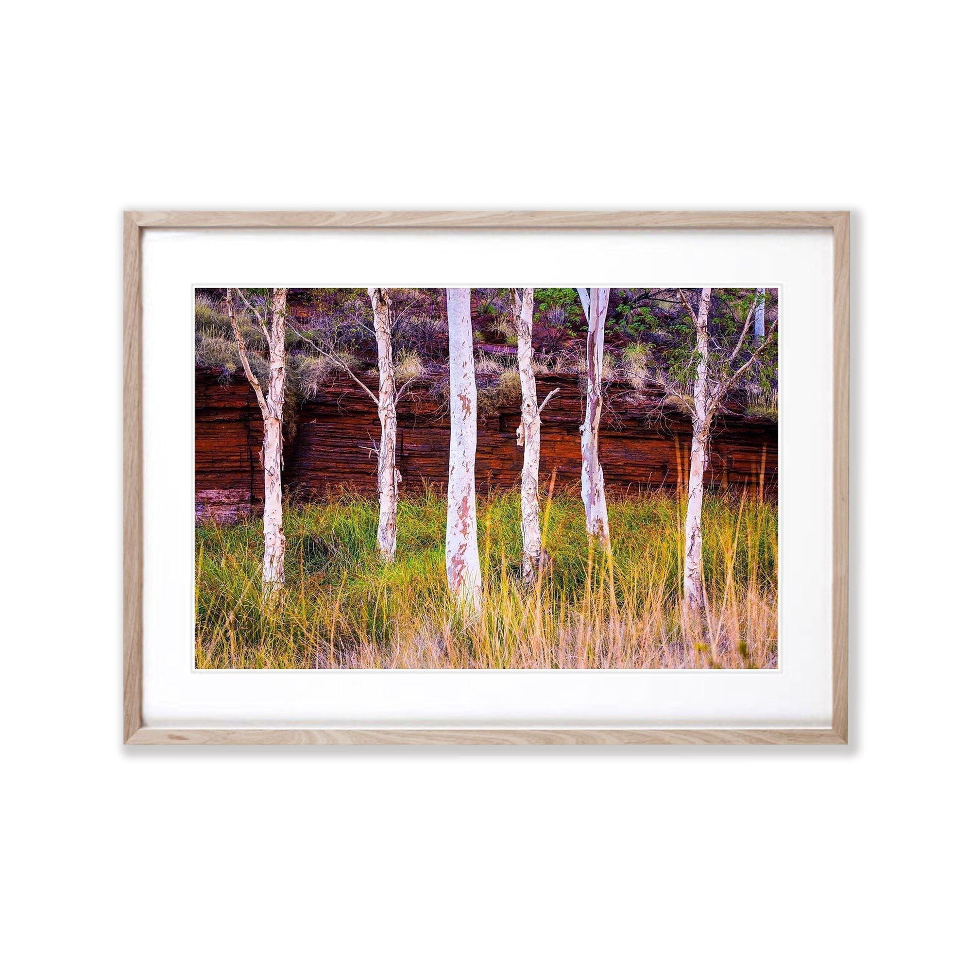 Standing tall - Karijini, The Pilbara