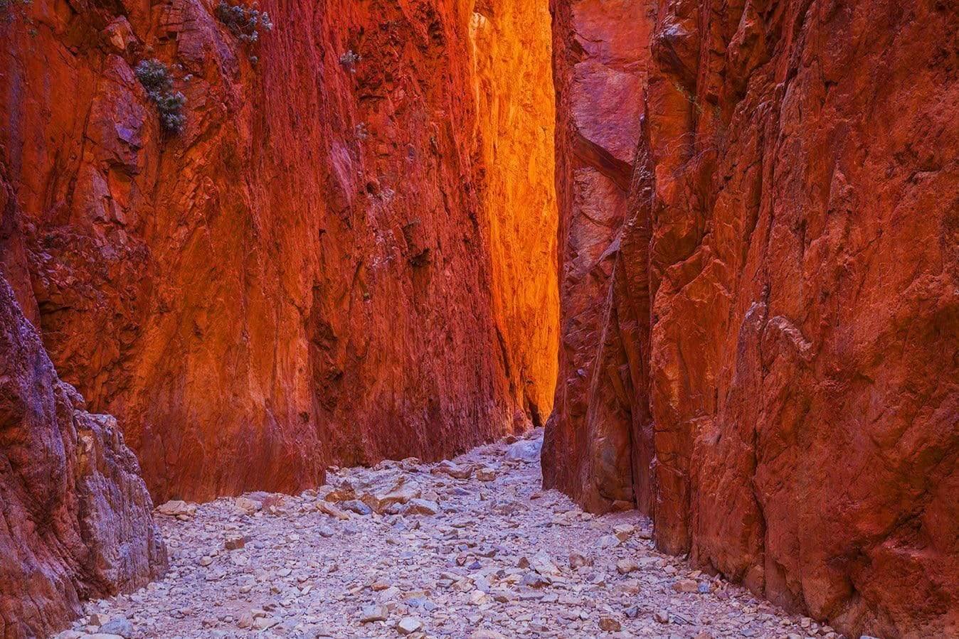 The base of orangish long-standing mountain walls, Stanley Chasm - West Macdonnell Ranges, NT