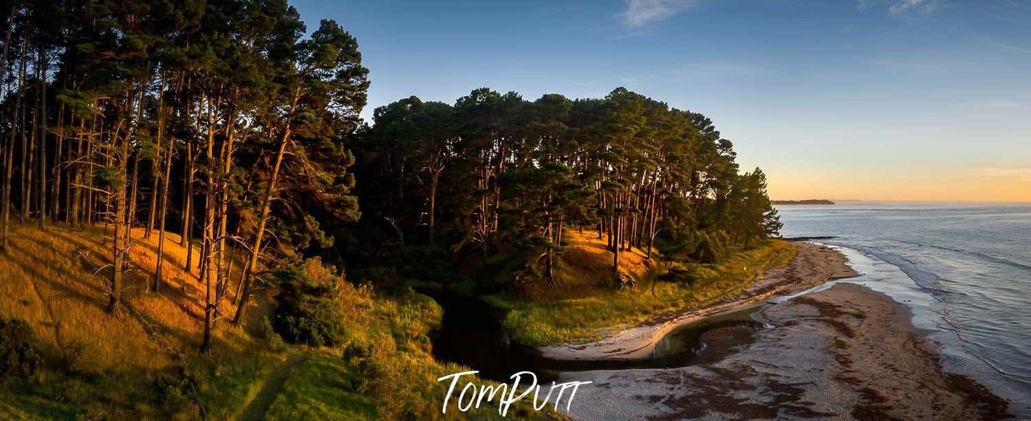 A massive greenery over a mound and a seashore ahead, Stony Creek, Shoreham - Mornington Peninsula VIC