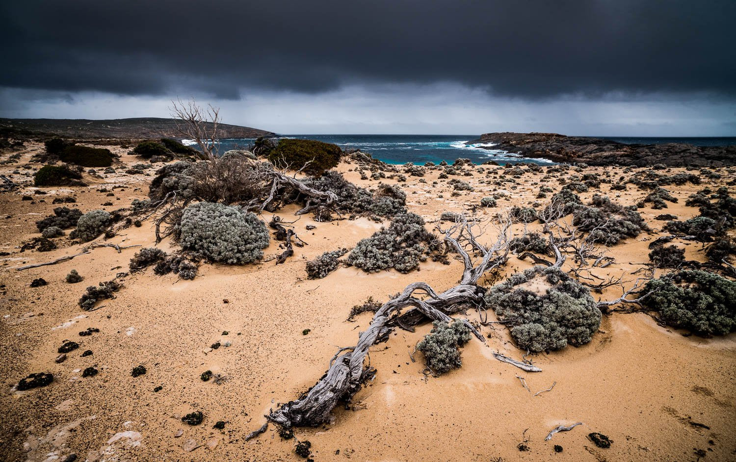 A beach with a lot of weird stones and wooden bushes, and stormy clouds over the sea, Storm over Whalers Way, Eyre Peninsula