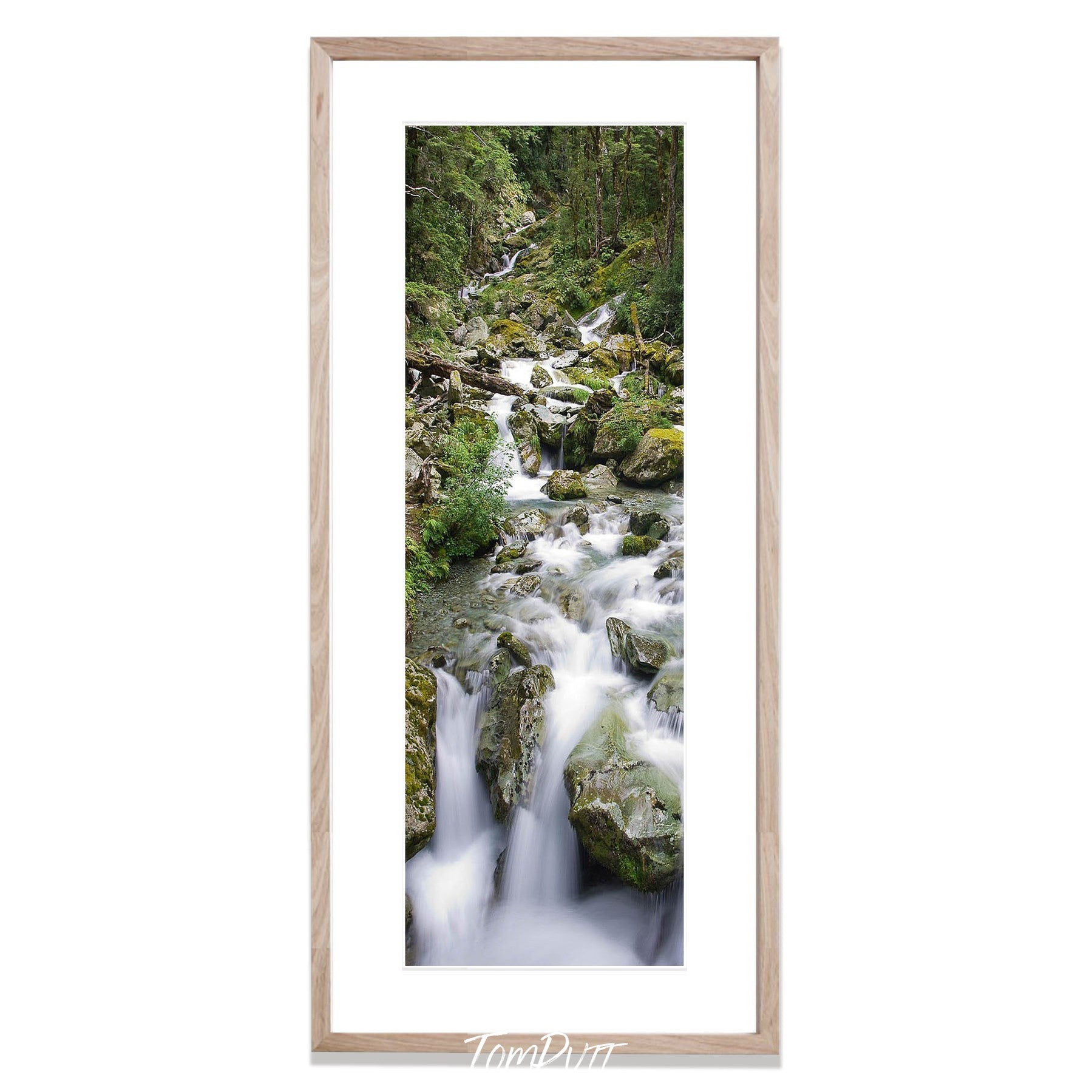 Sugar Loaf Stream, Routeburn Track - New Zealand