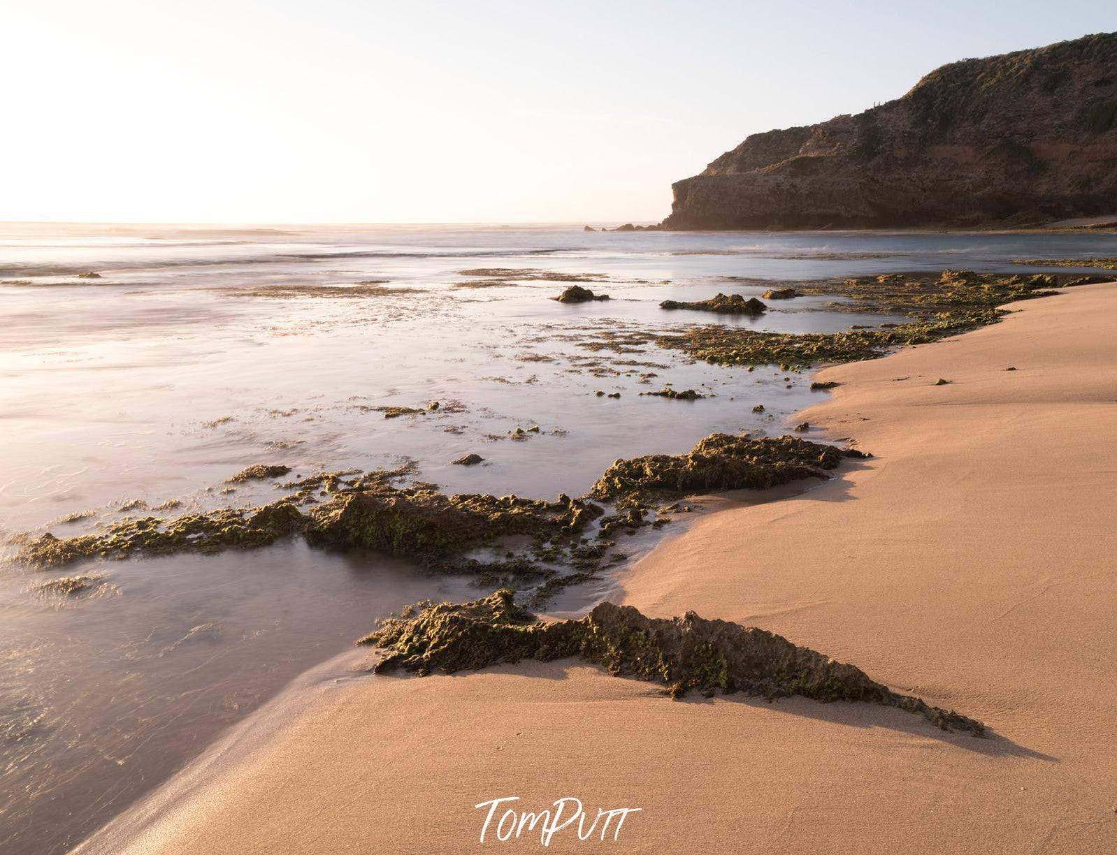 Crawling bushes on the sea shore, Summer Evening - Mornington Peninsula VIC