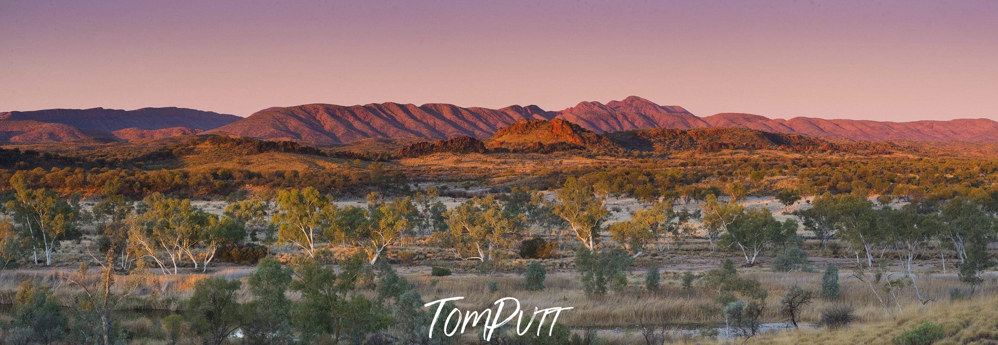 A wide lake with green plants over and a big mountain behind, Sunset NT - West Macdonnell Ranges, NT