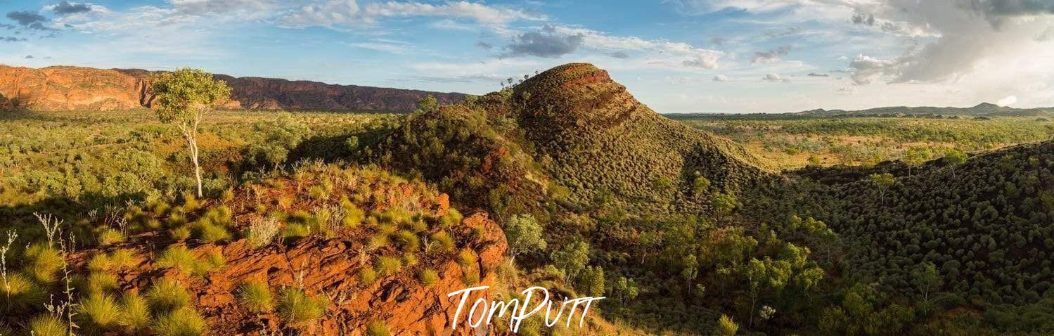 A big green mound in a greenfield, Sunset at Bungle Bungles - The Kimberley, WA