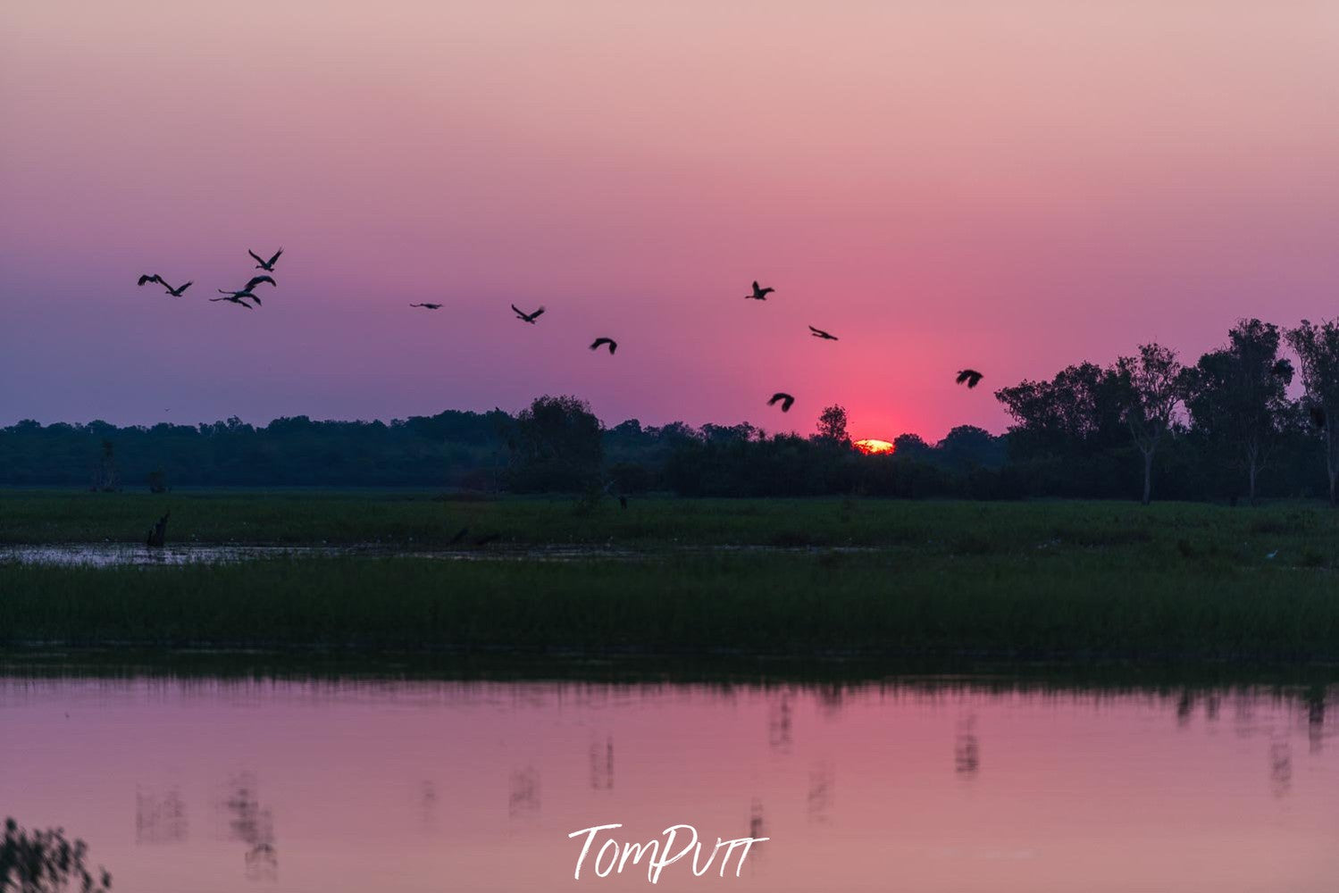 Late sunset view from a lack view with a field area and some tall trees in the far background Birds are rushing to go back and the sun is about to set, Arnhem Land 14 - Northern Territory 