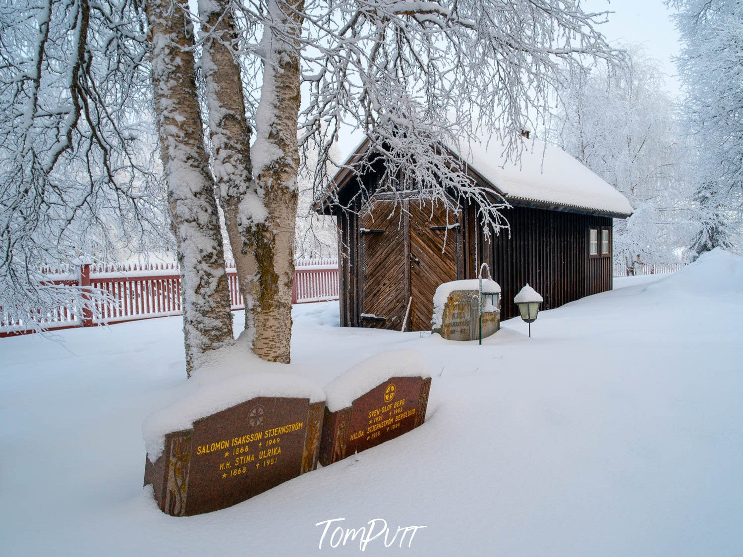 A house and some tall-standing trees on a snow-covered land, Sweden No.26