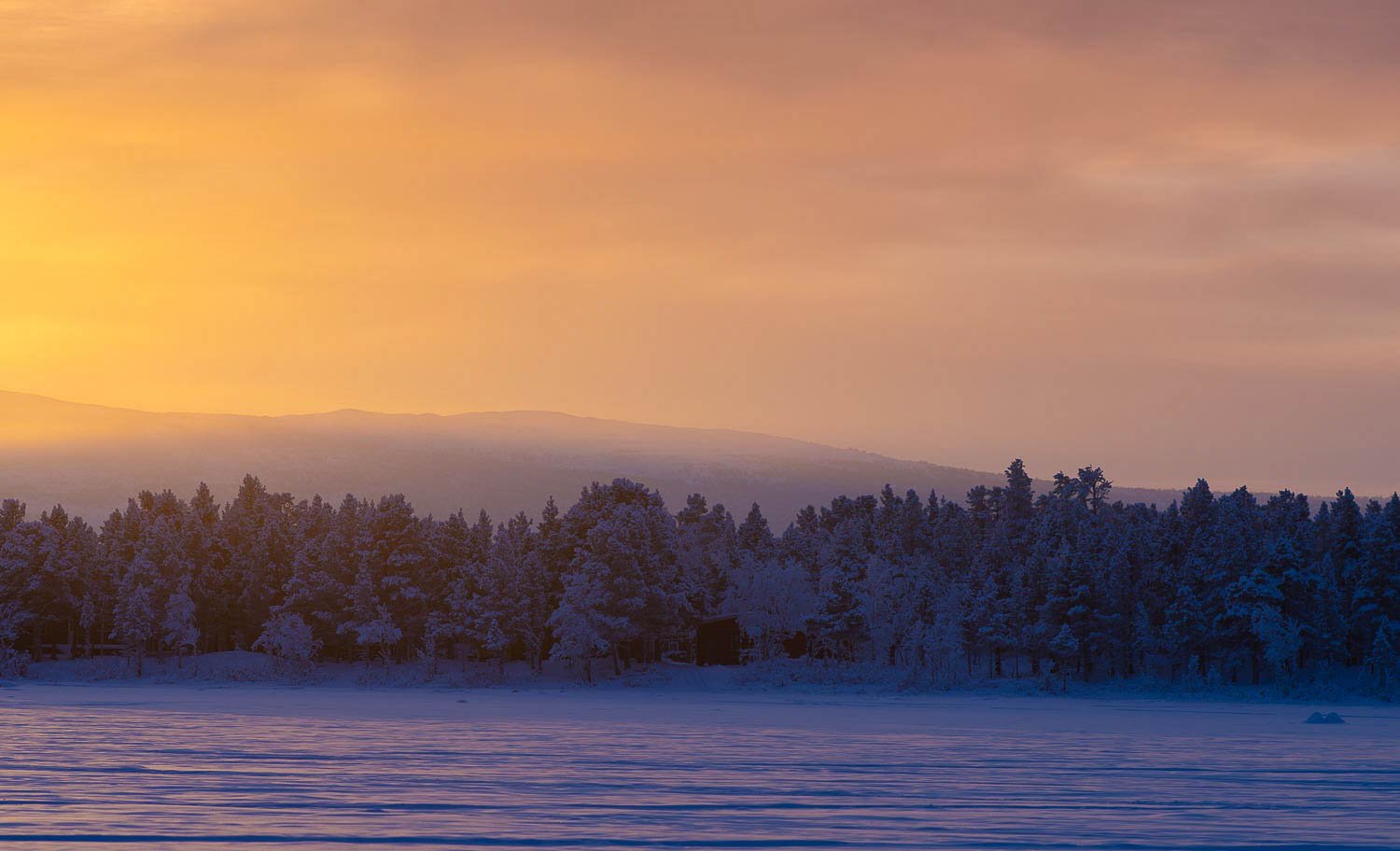 A range of small trees covered with snow, and a sunset effect behind, Sweden #31