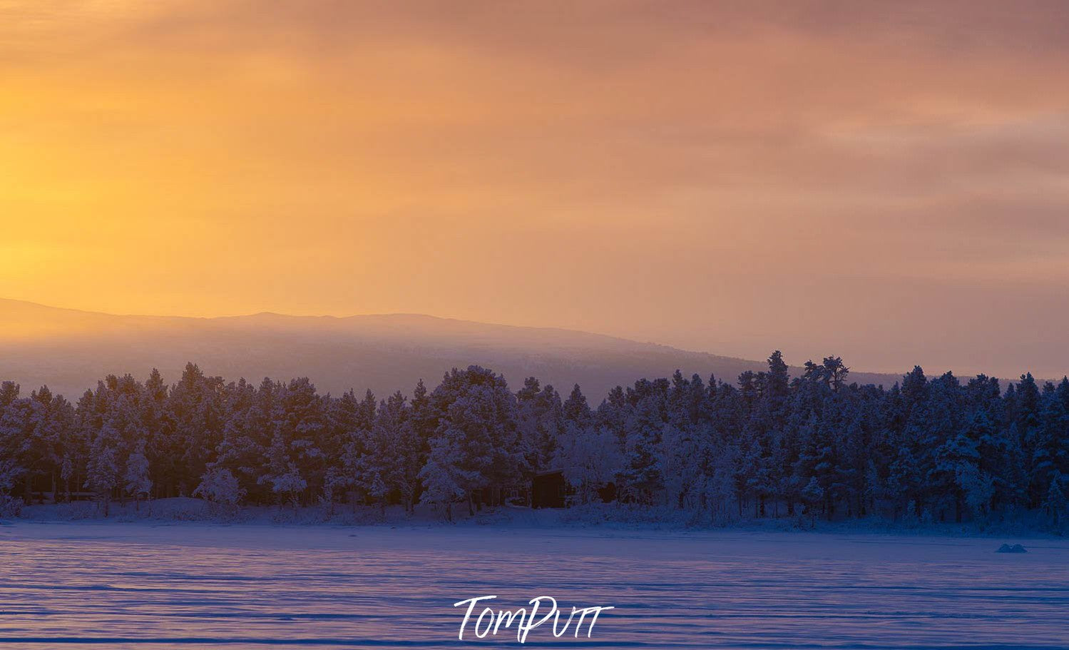 A range of small trees covered with snow, and a sunset effect behind, Sweden No.31