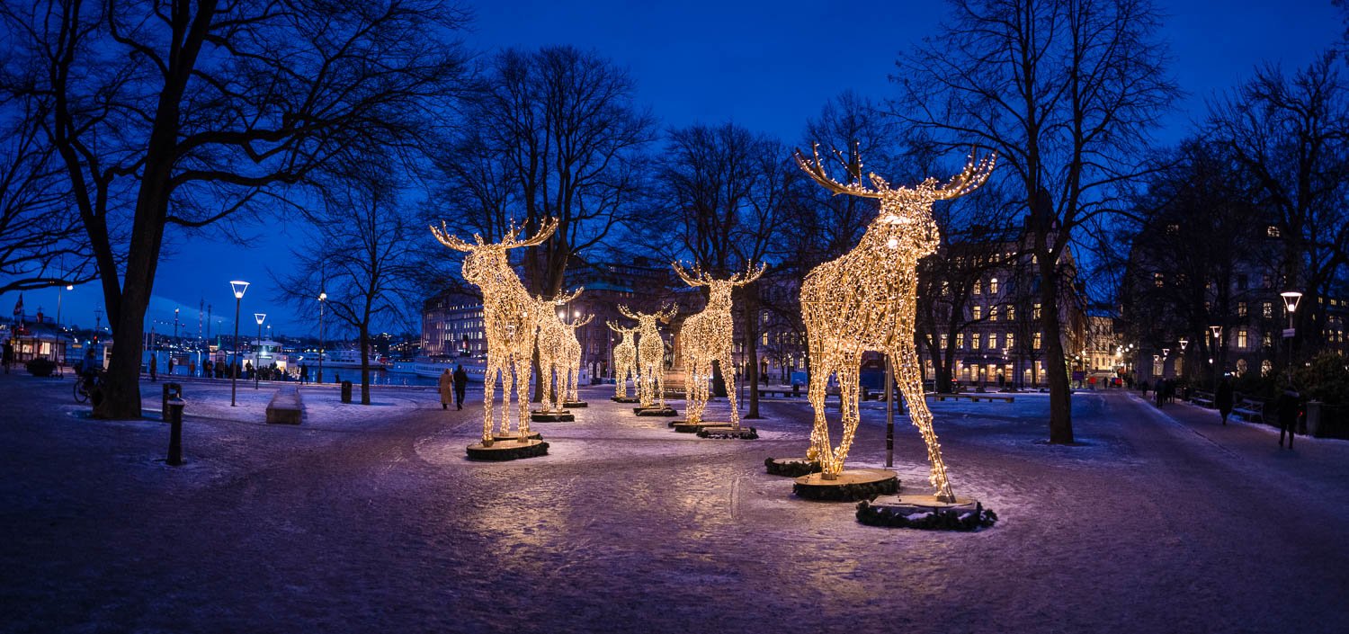 Animals standing sculptures with lighting on them, Sweden #4