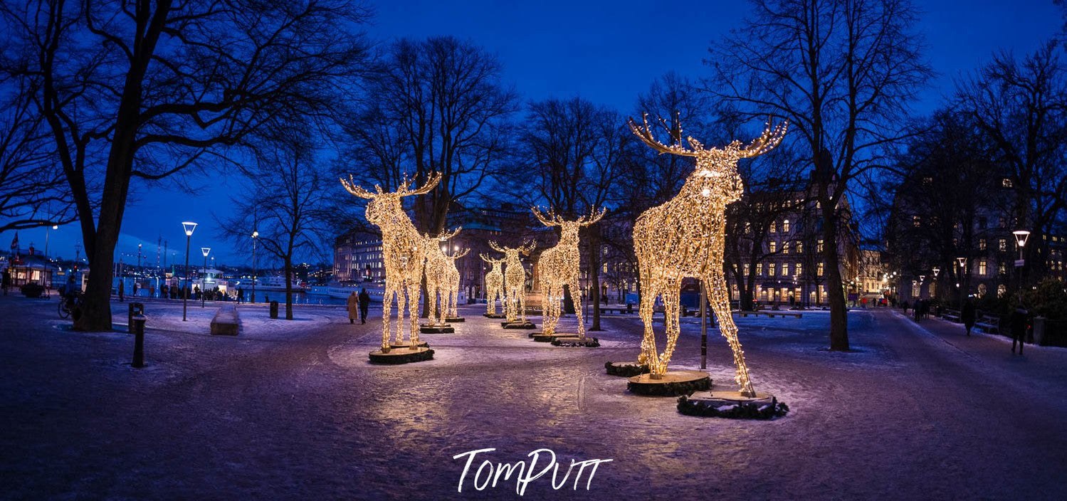 Animals standing sculptures with lighting on them, Sweden No.4