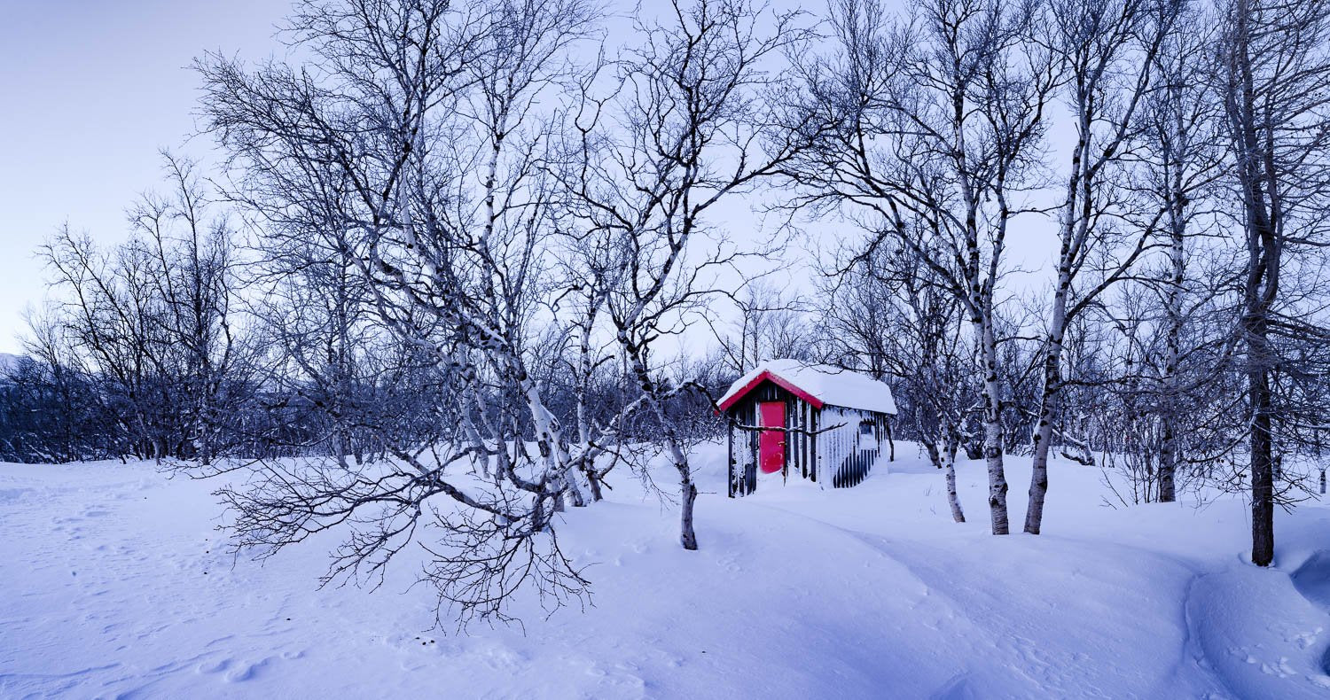 A house in a snow-covered land with some thin standing trees, Sweden #8