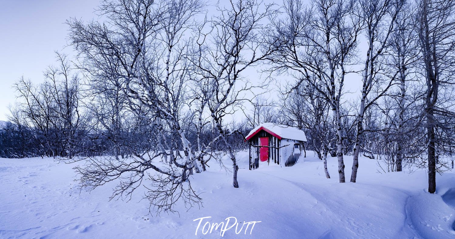 A house in a snow-covered land with some thin standing trees, Sweden No.8