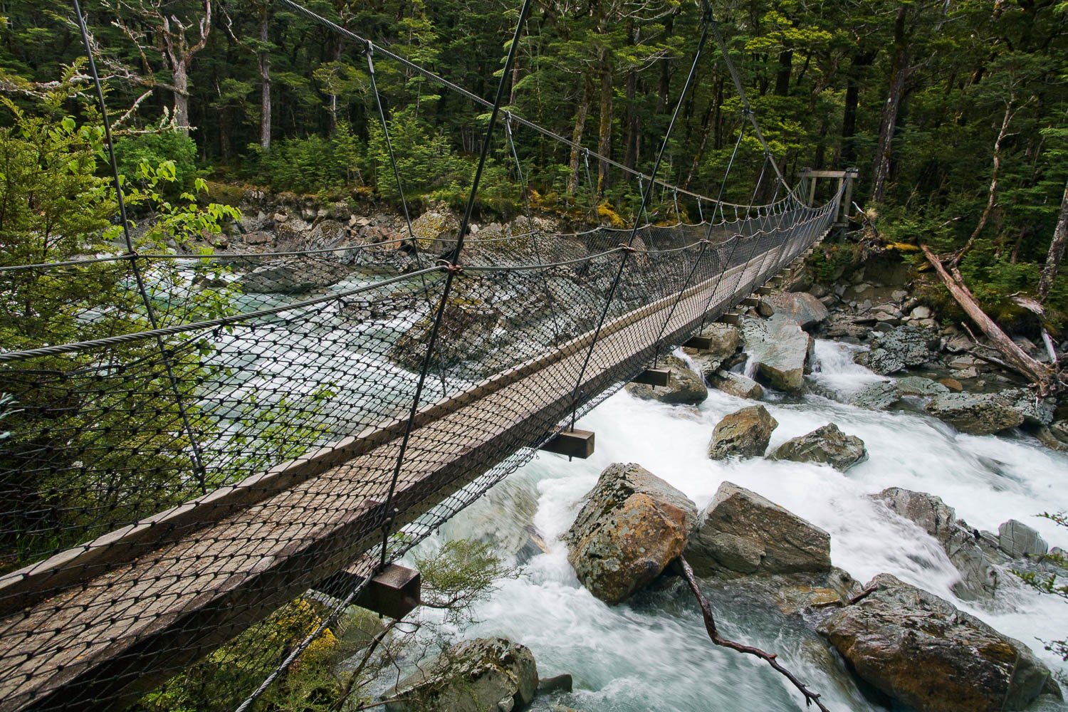 A bridge over a green watercourse with nested steel sidewalls, Swing Bridge, Routeburn Track - New Zealand
