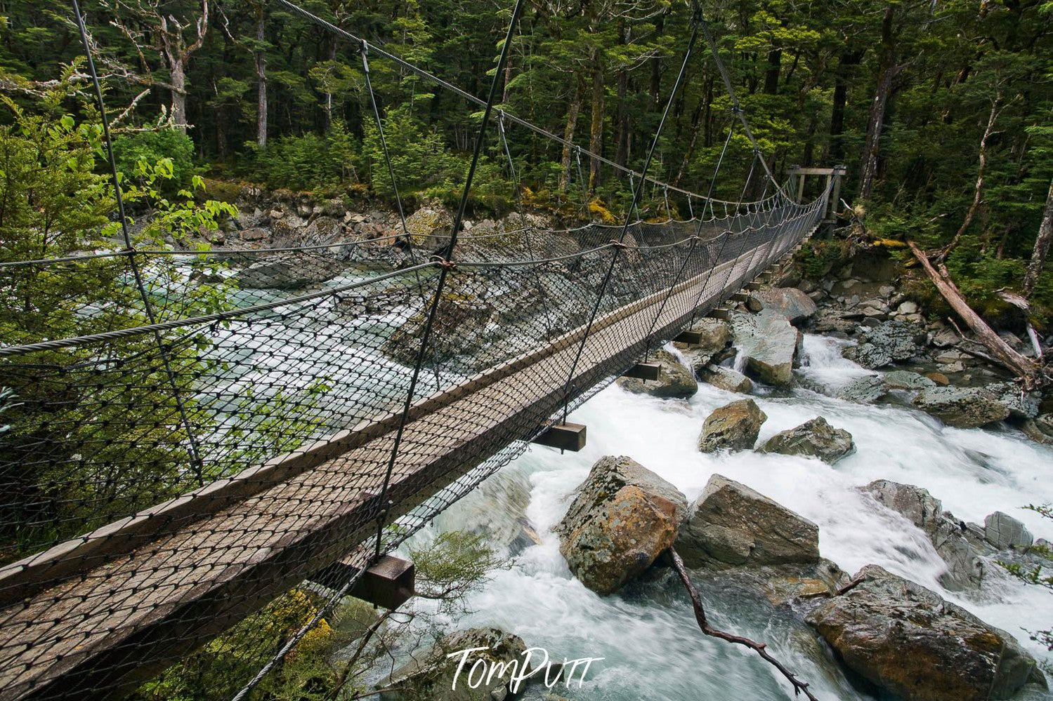 A bridge over a green watercourse with nested steel sidewalls, Swing Bridge, Routeburn Track - New Zealand