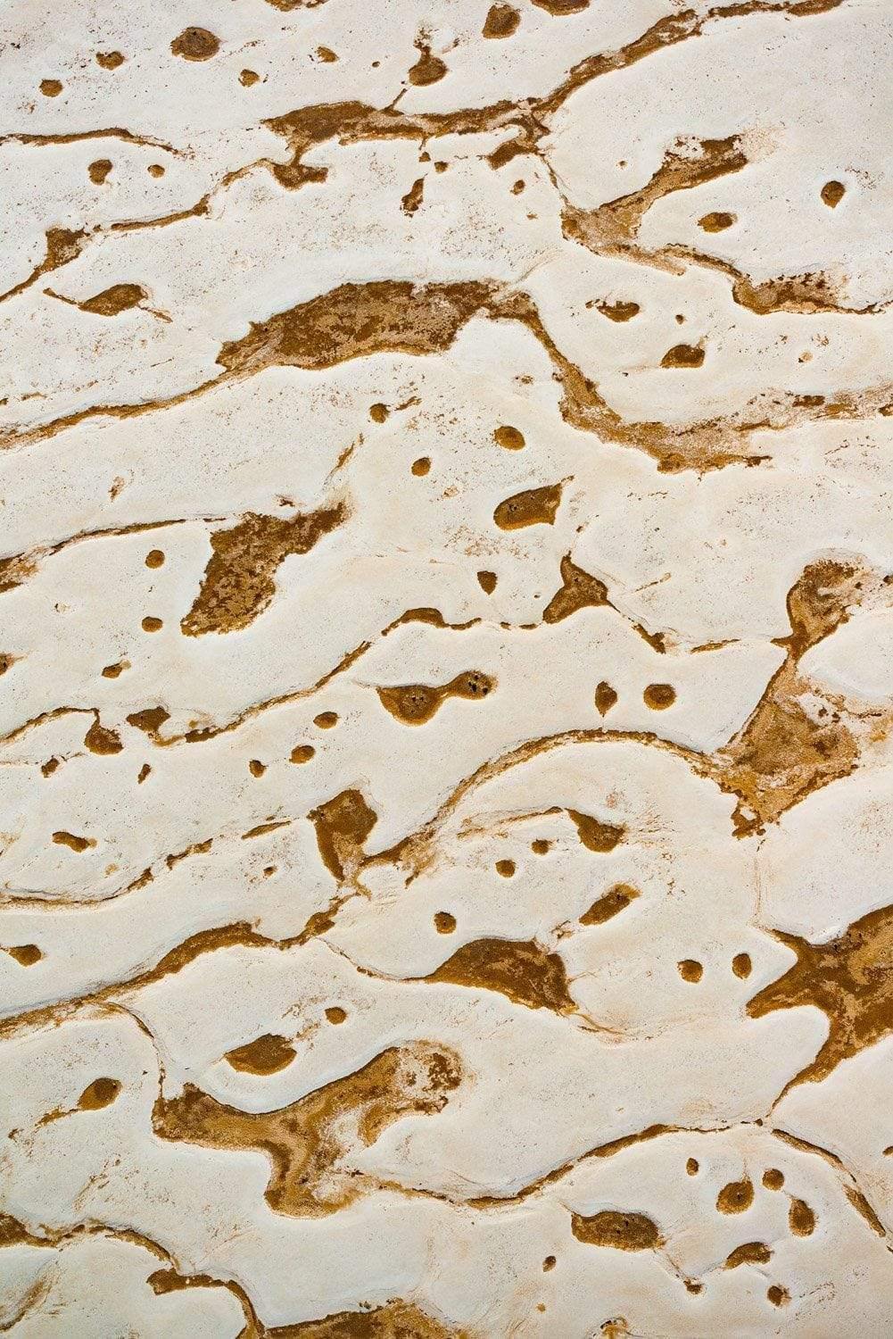 A unique texture of mustard color liquid on the land, Tadpoles