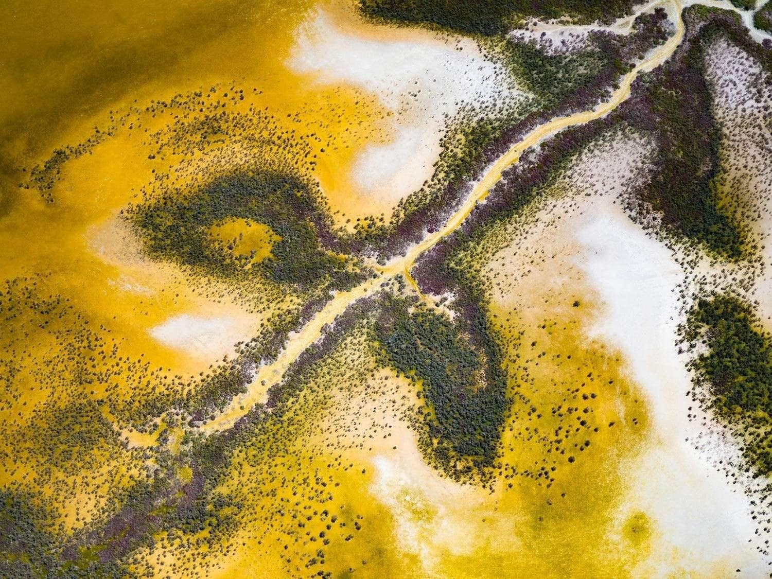 Aerial view of a yellowish land with green leaf-like texture, Taking Flight