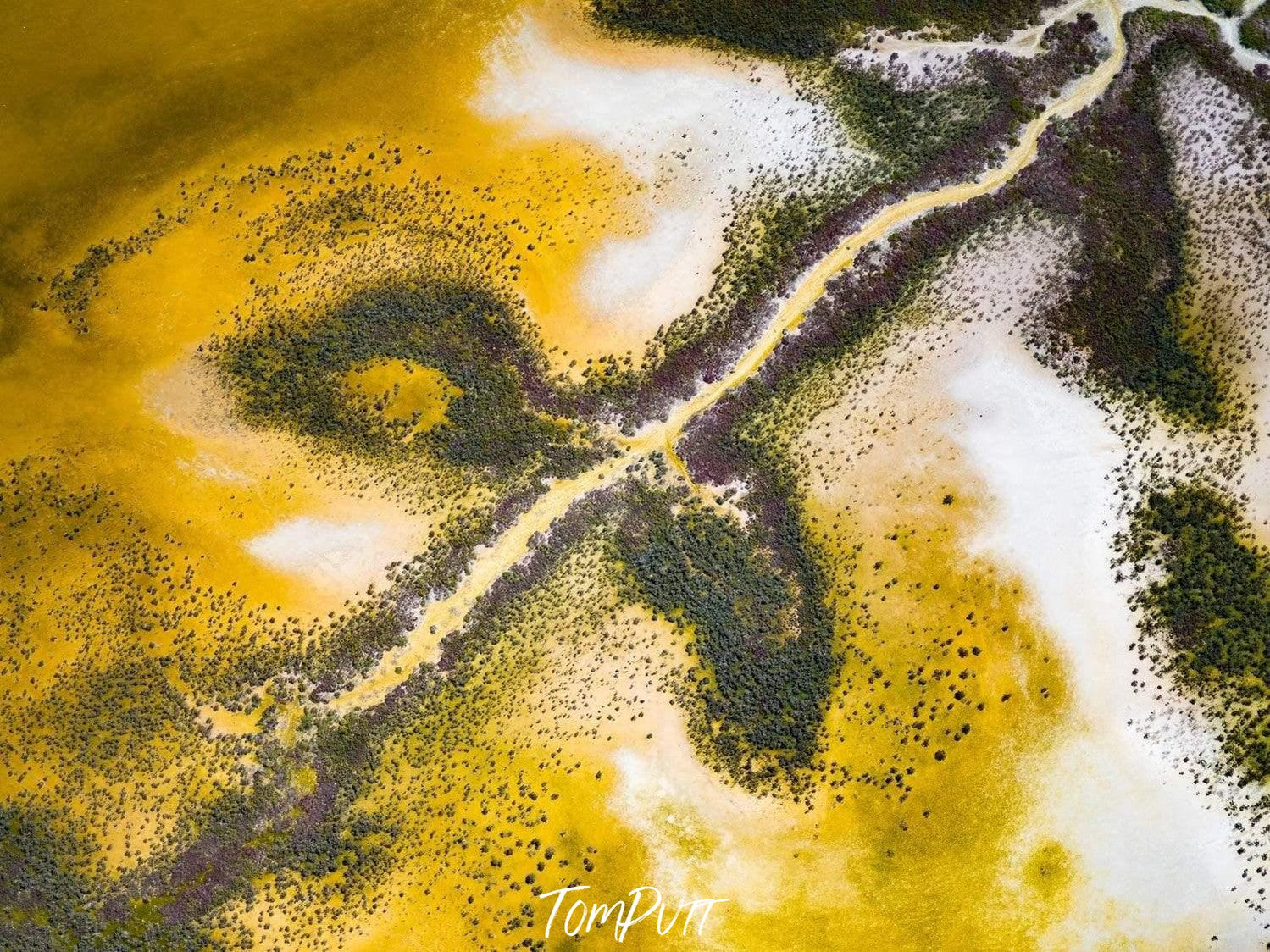 Aerial view of a yellowish land with green leaf-like texture, Taking Flight