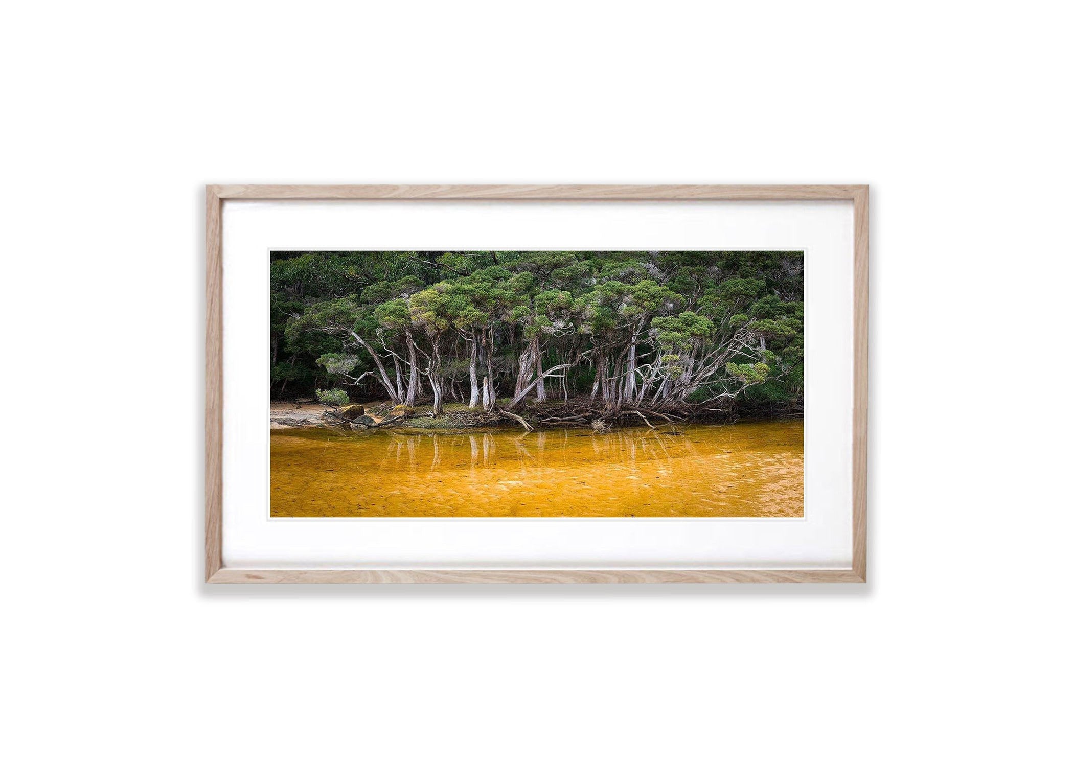 Tannin Creek - Wilson's Promontory VIC