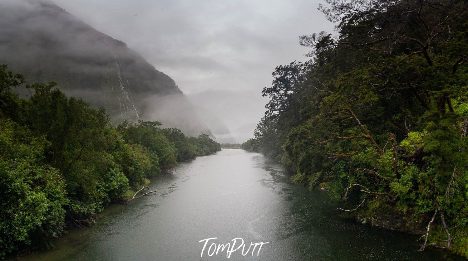 A watercourse between thick greenery, The Arthur River, Milford Track - New Zealand