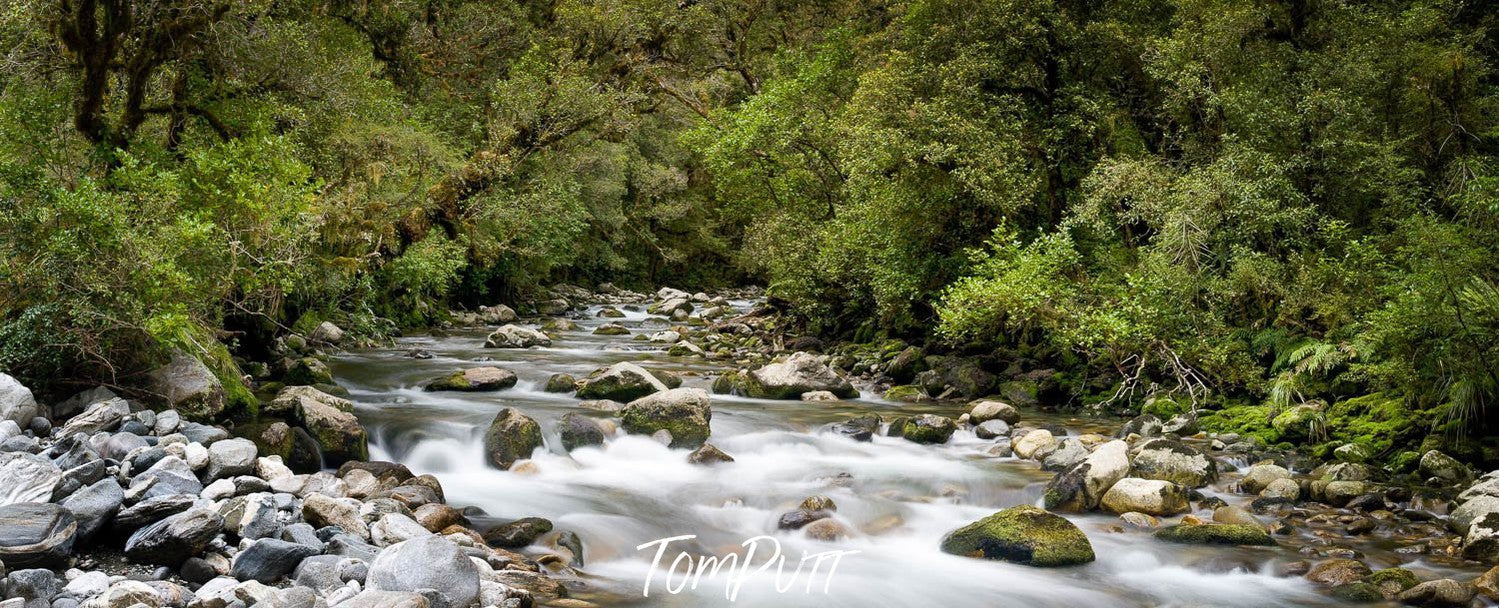 The Arthur River, Milford Track - New Zealand