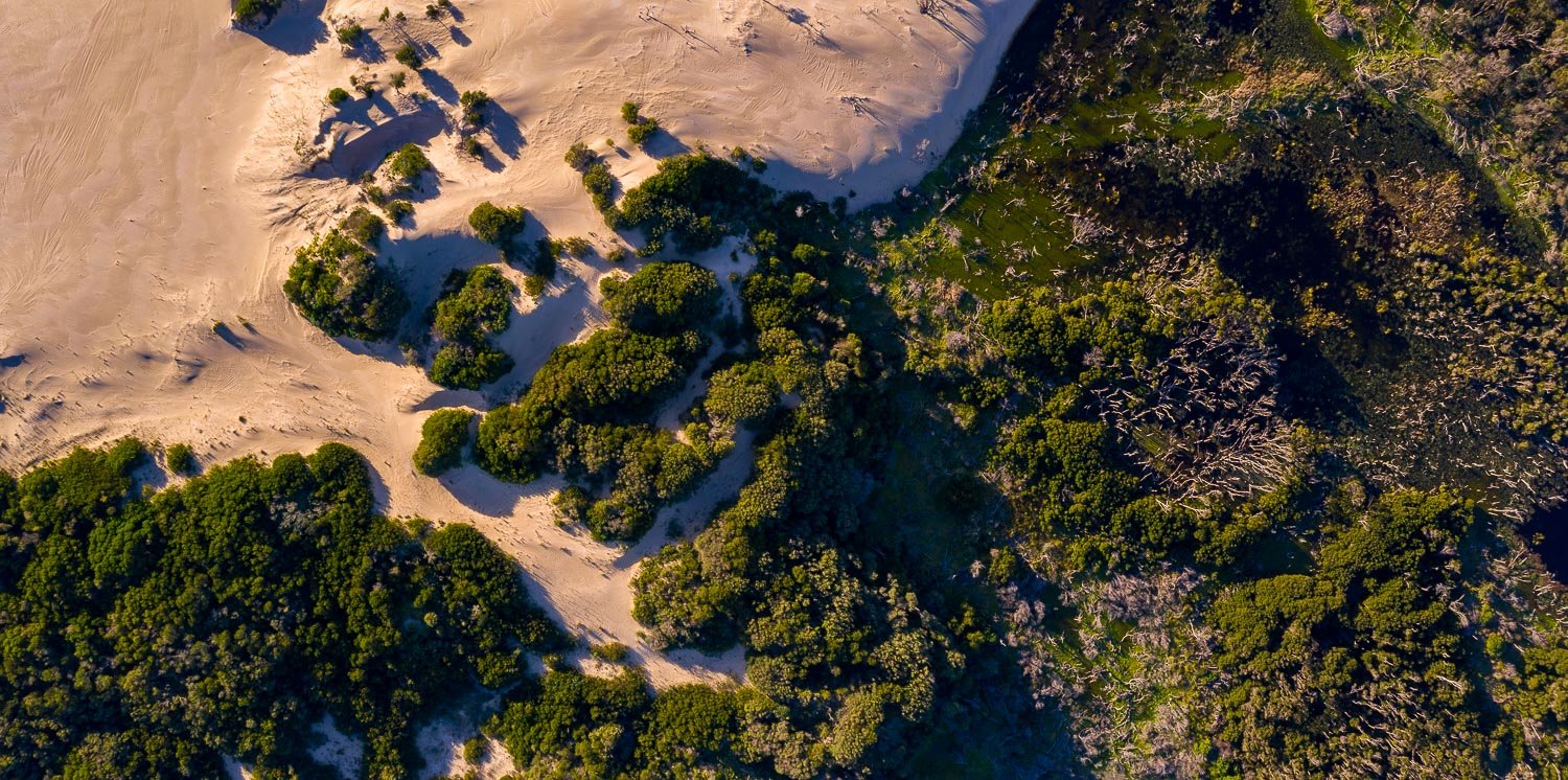 Aerial view of a big desert-like land partially covered with greenery, Wilson's Promontory #30