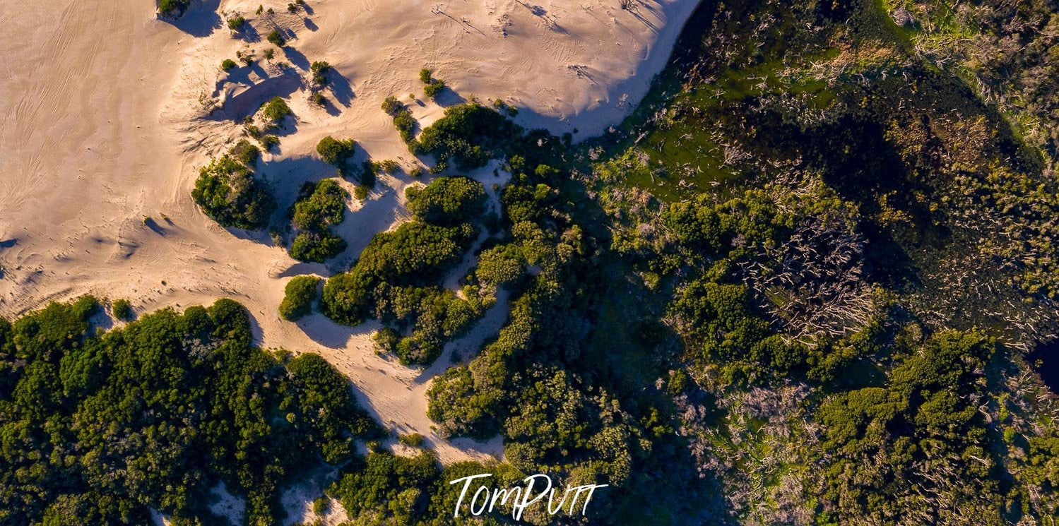 Aerial view of a big desert-like land partially covered with greenery, Wilson's Promontory #30