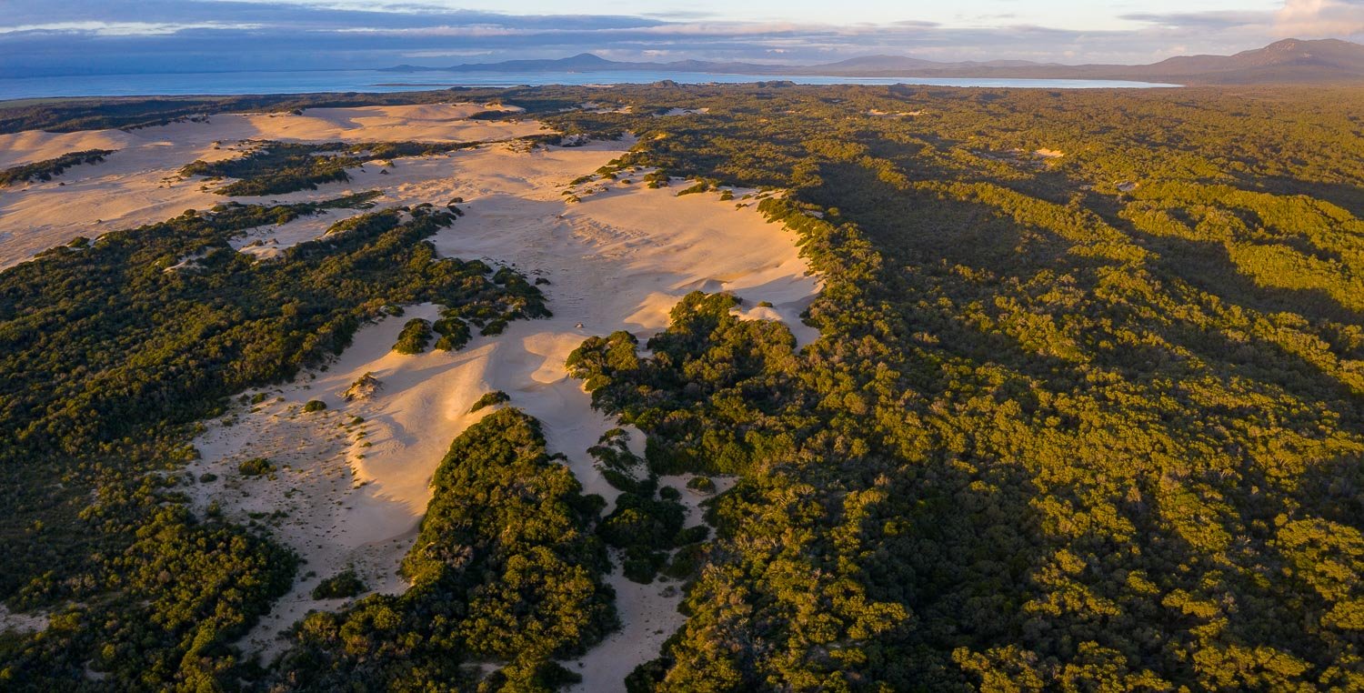 Aerial view of a wide greenery-covered desert-like land, Wilson's Promontory #27