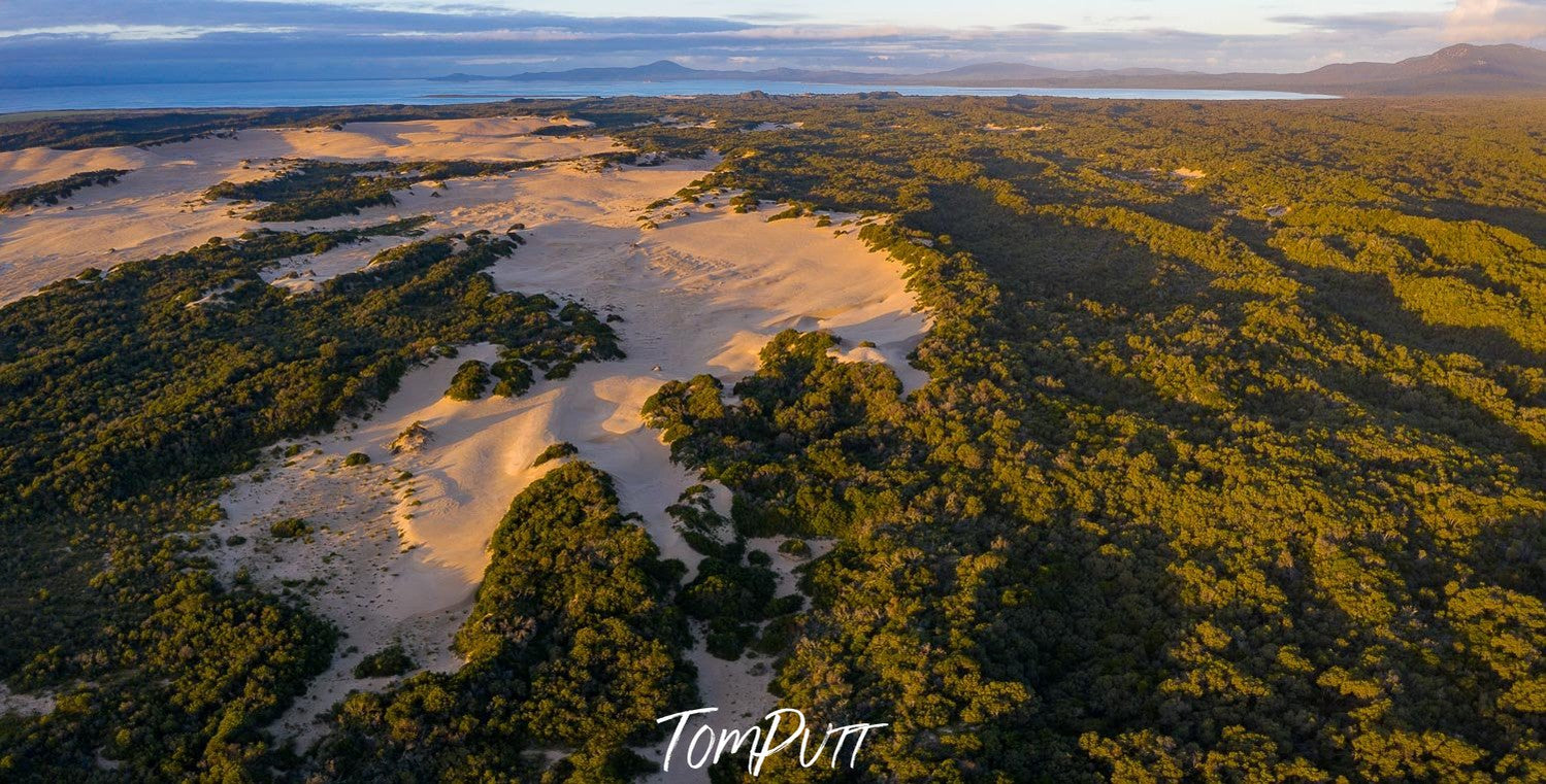 Aerial view of a wide greenery-covered desert-like land, Wilson's Promontory #27