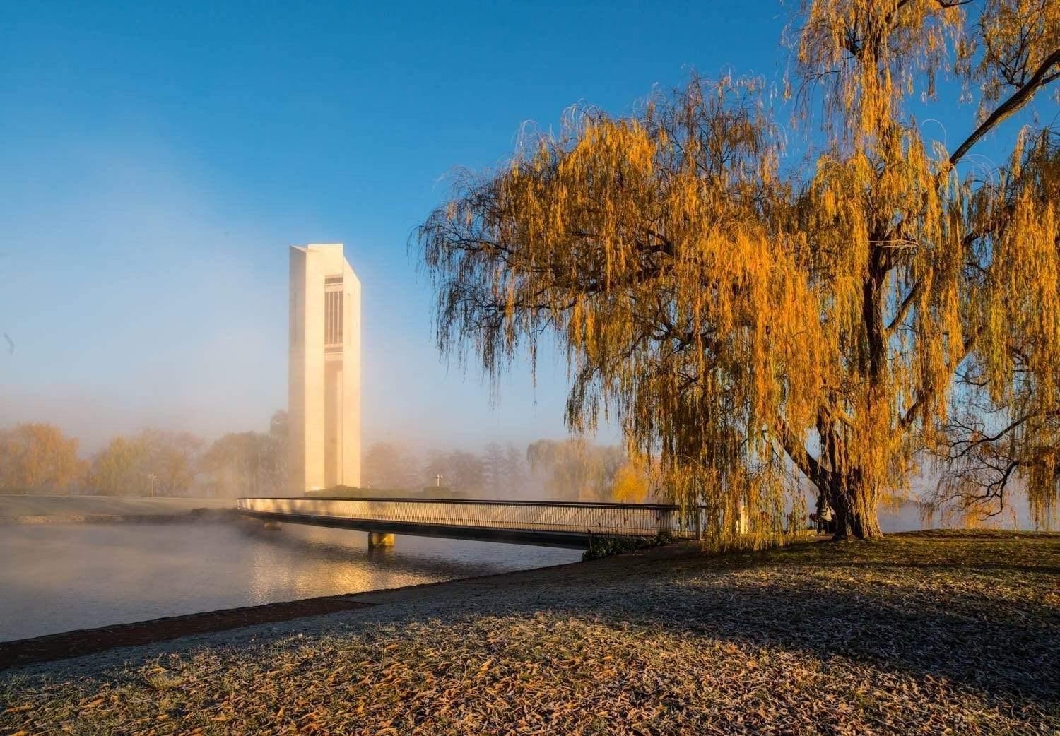 Blurry white tower behind a lake, and a thick old tree at the front, The Carillon Dawn - Lake Burley Griffin ACT
