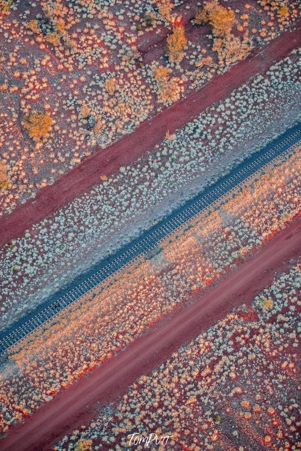 Aerial view of discipline lines of different flowers in each row, The Ghan Railway Line Art