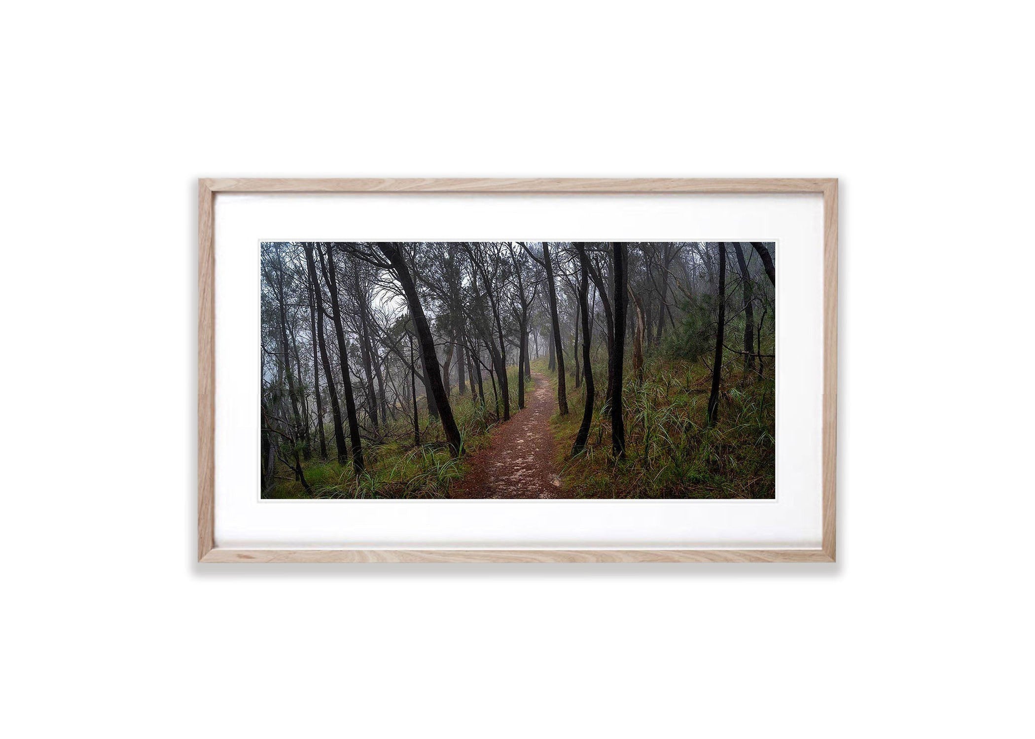 The Path to Kings Falls, Arthurs Seat - Mornington Peninsula, VIC