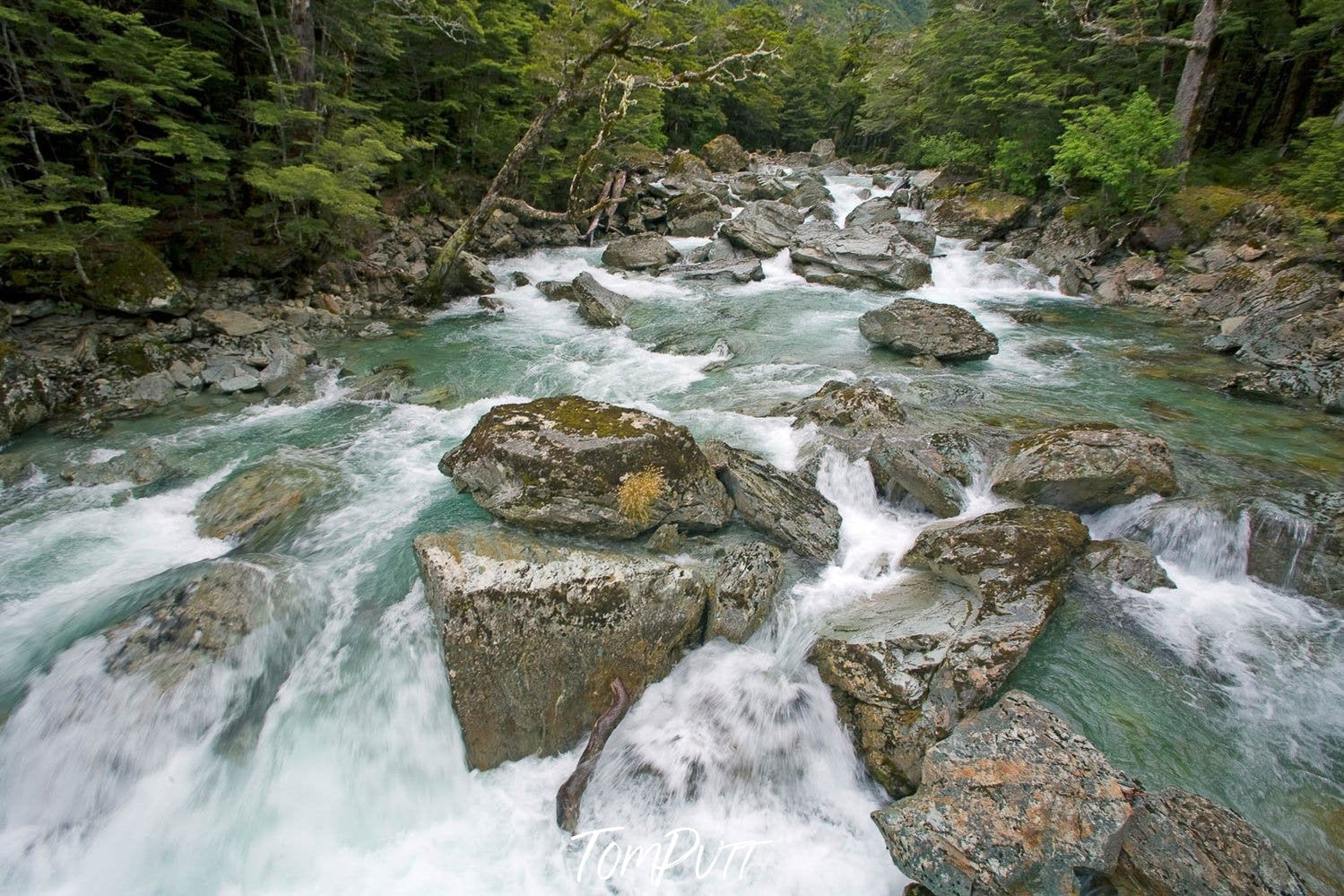 A lake with big stones under, and a lot of trees around, The Route Burn, Routeburn Track - New Zealand