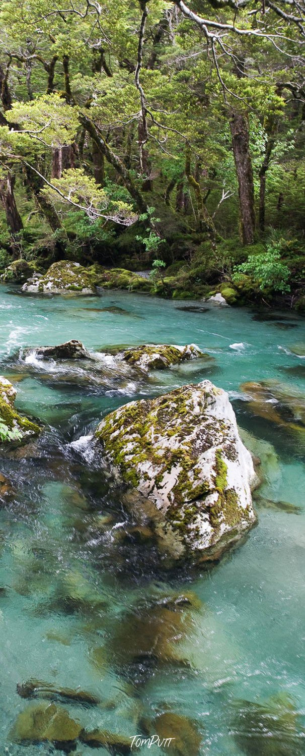 A lake with big stones under, and a lot of trees around, The Route Burn, Routeburn Track, New Zealand