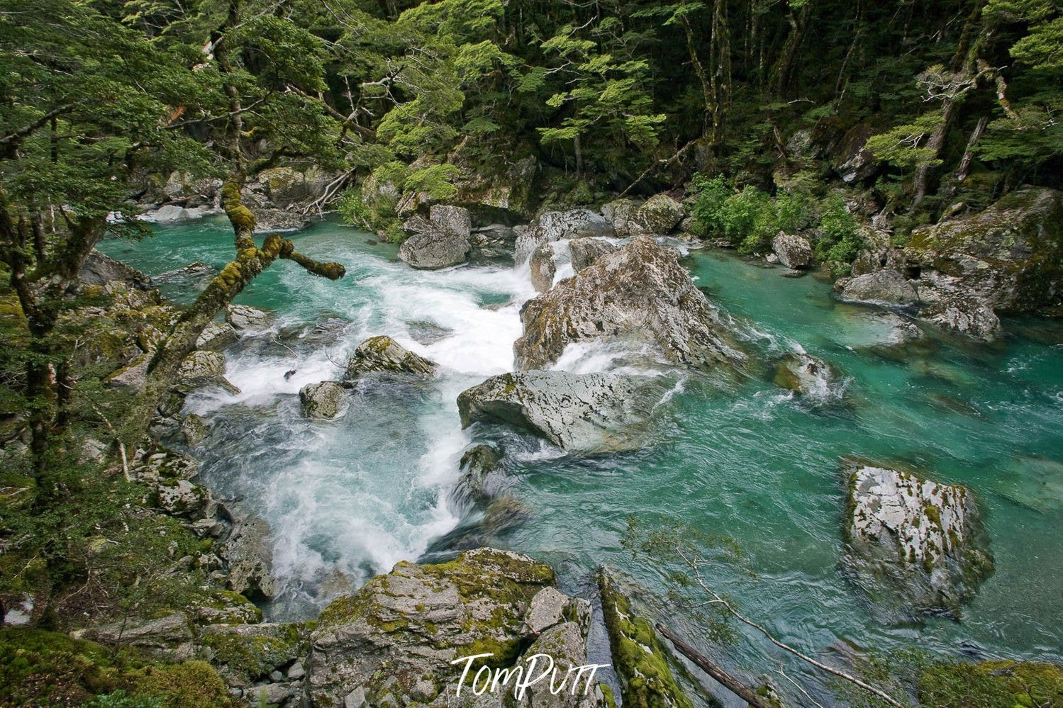 A lake with big stones under, and a lot of trees around, The Route Burn turquoise waters, Routeburn Track - New Zealand