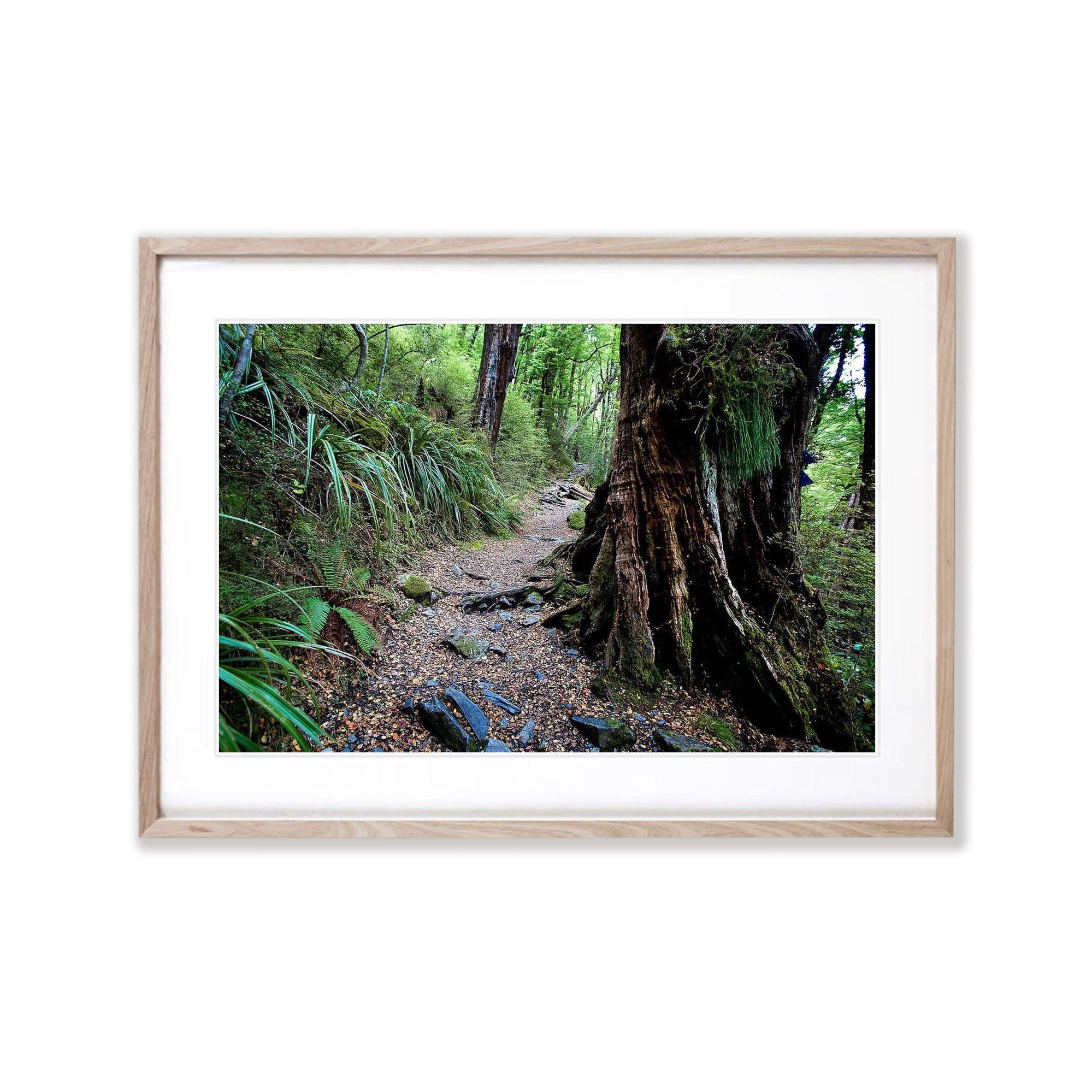 Timeless Journey, Routeburn Track, NZL