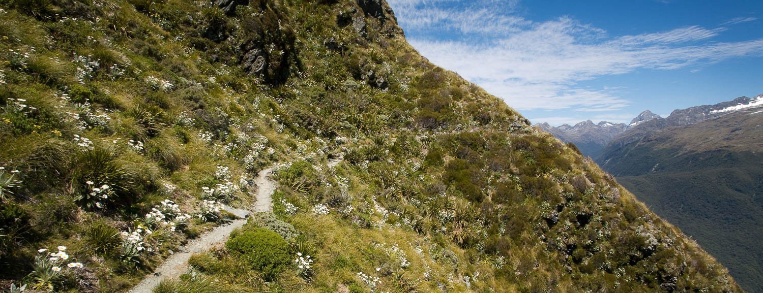 The Routeburn Track No.3 - New Zealand