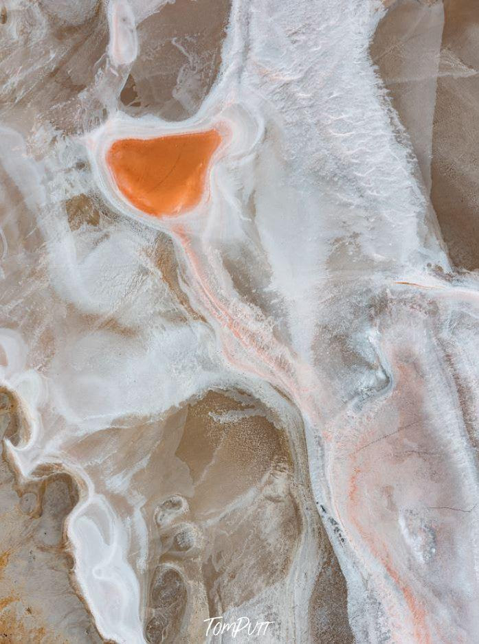 Aerial view of large tulip flower on a sandy surface, The Tulip