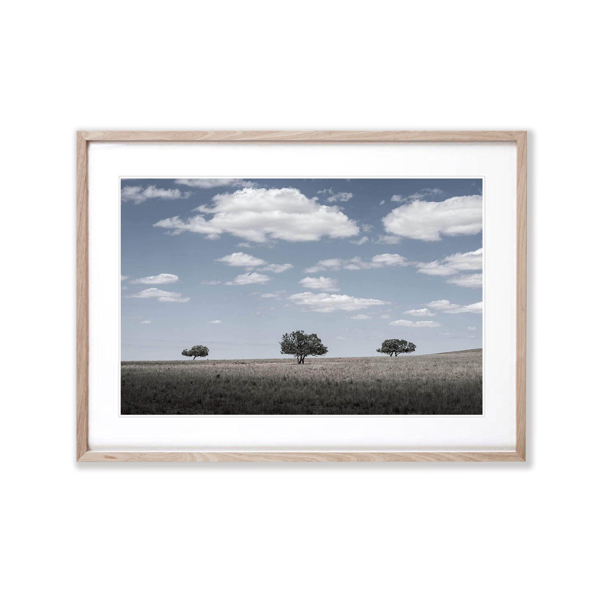 Three Amigos - Flinders Ranges SA