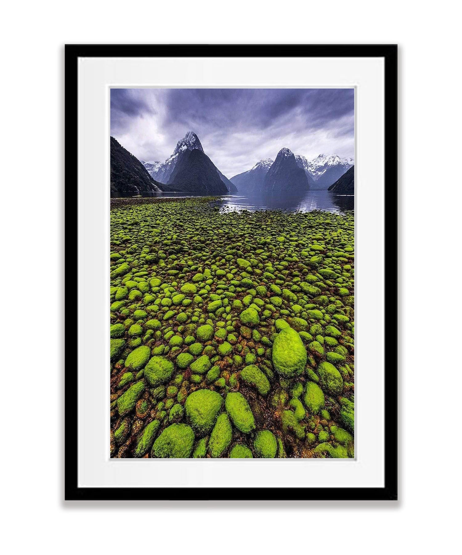 Tide Out, Milford Sound - New Zealand