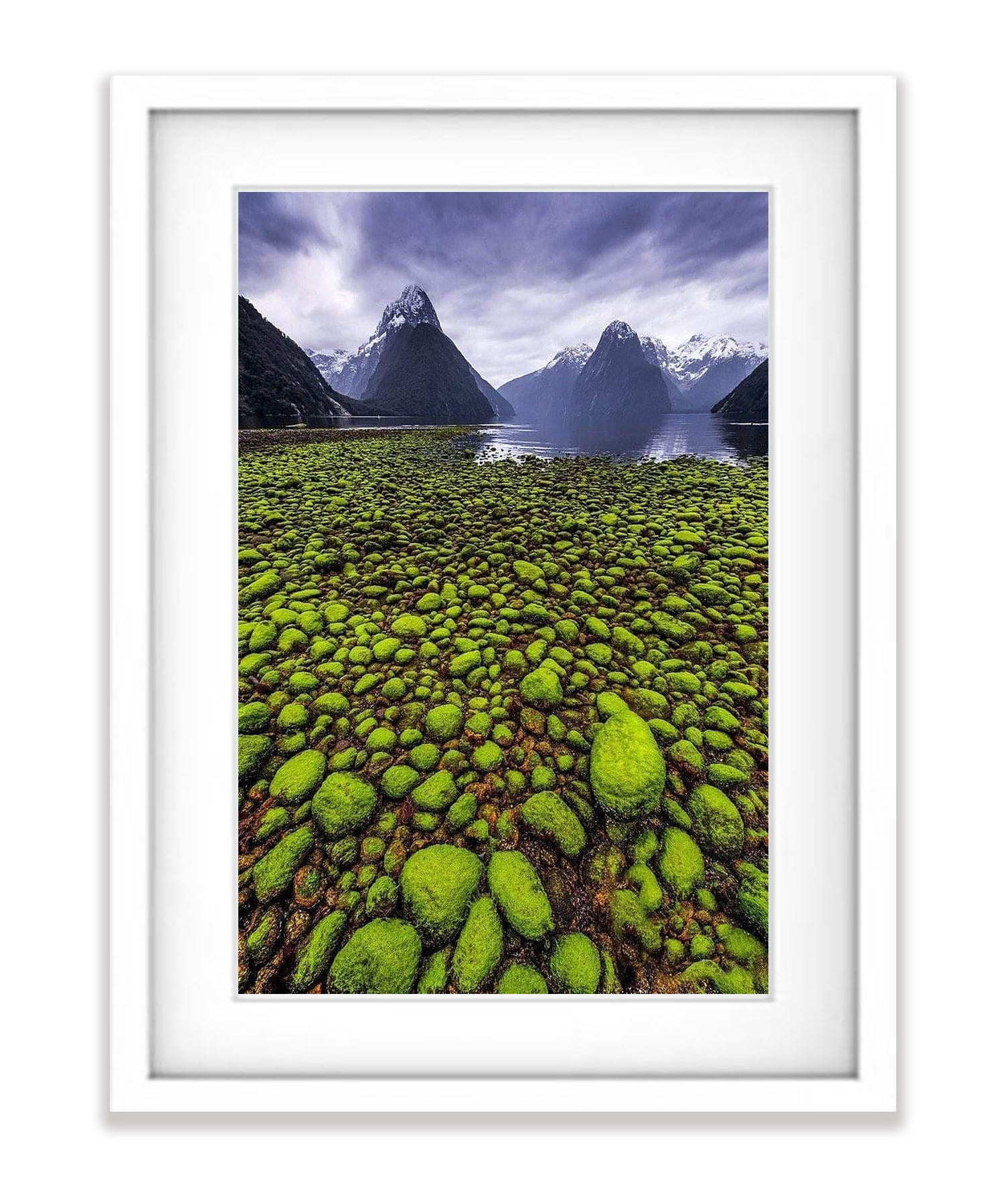 Tide Out, Milford Sound - New Zealand