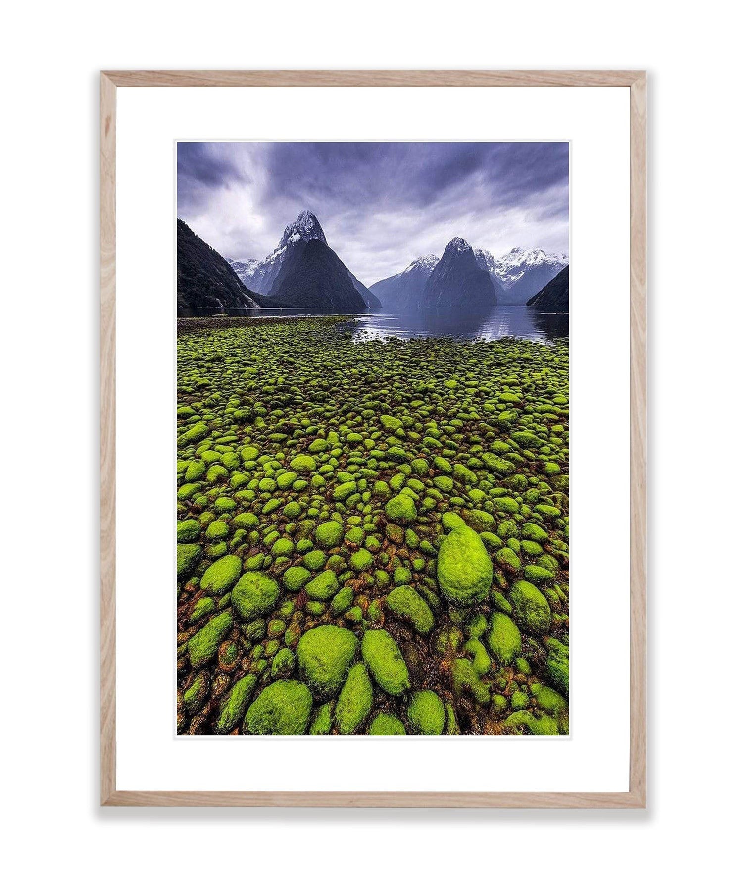 Tide Out, Milford Sound - New Zealand