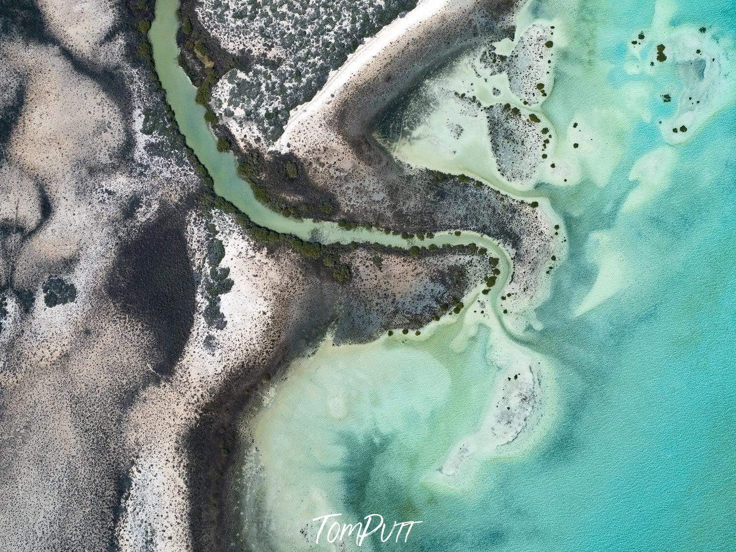 Aerial view of a big ice-green sea with a wet sand shore, Tiffany Coast