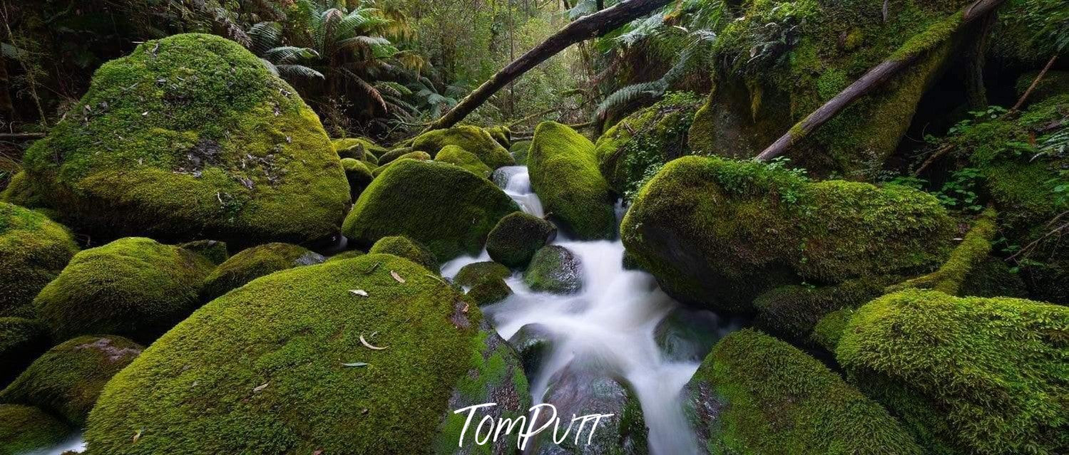 Small watercourse between big boulders covered with fresh grass and bushes, Toorongo Creek - Victorian High Country