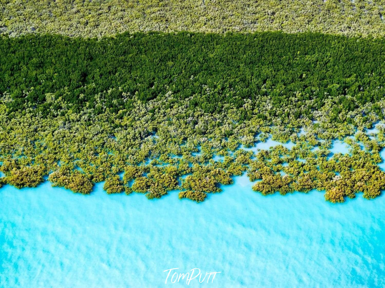 The ice-blue lake with partially covered with thick greenery, Turquoise Waters