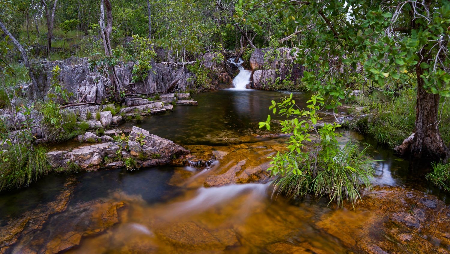 Beautiful watercourse with mini waterfalls, fresh greenery, and stones in surroundings, Arnhem Land 21 - Northern Territory 
