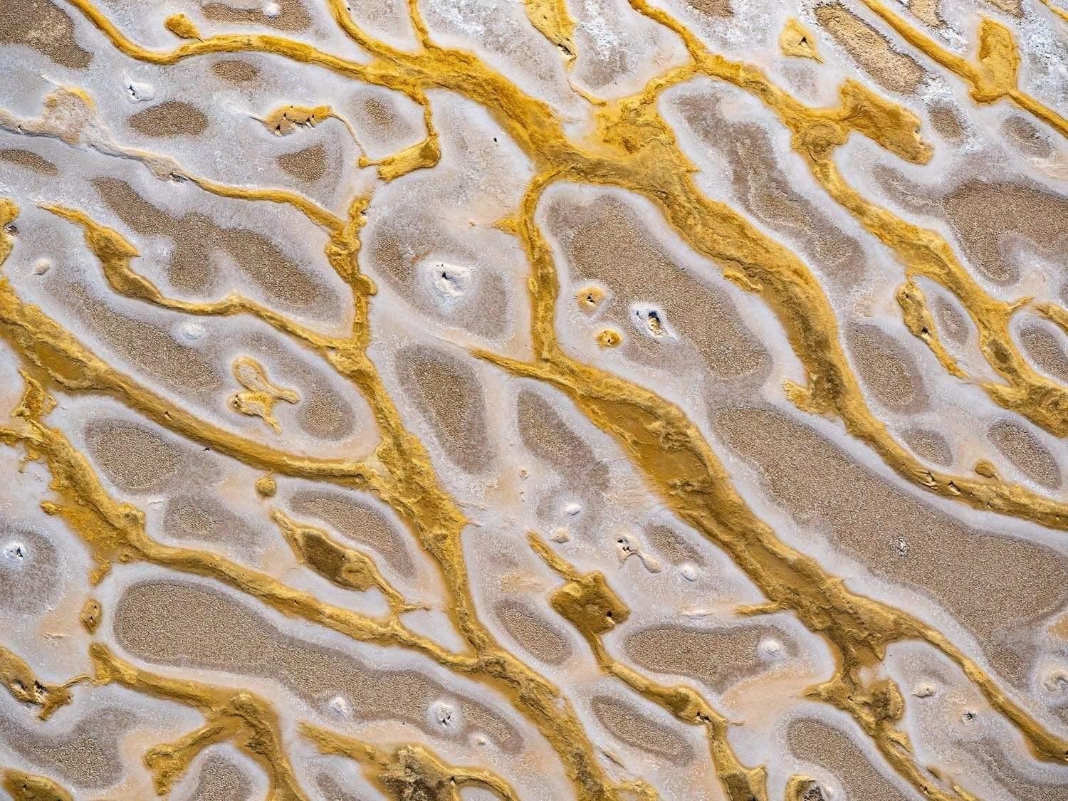 Golden leaf lines texture on a beach-like land, Liquid Gold