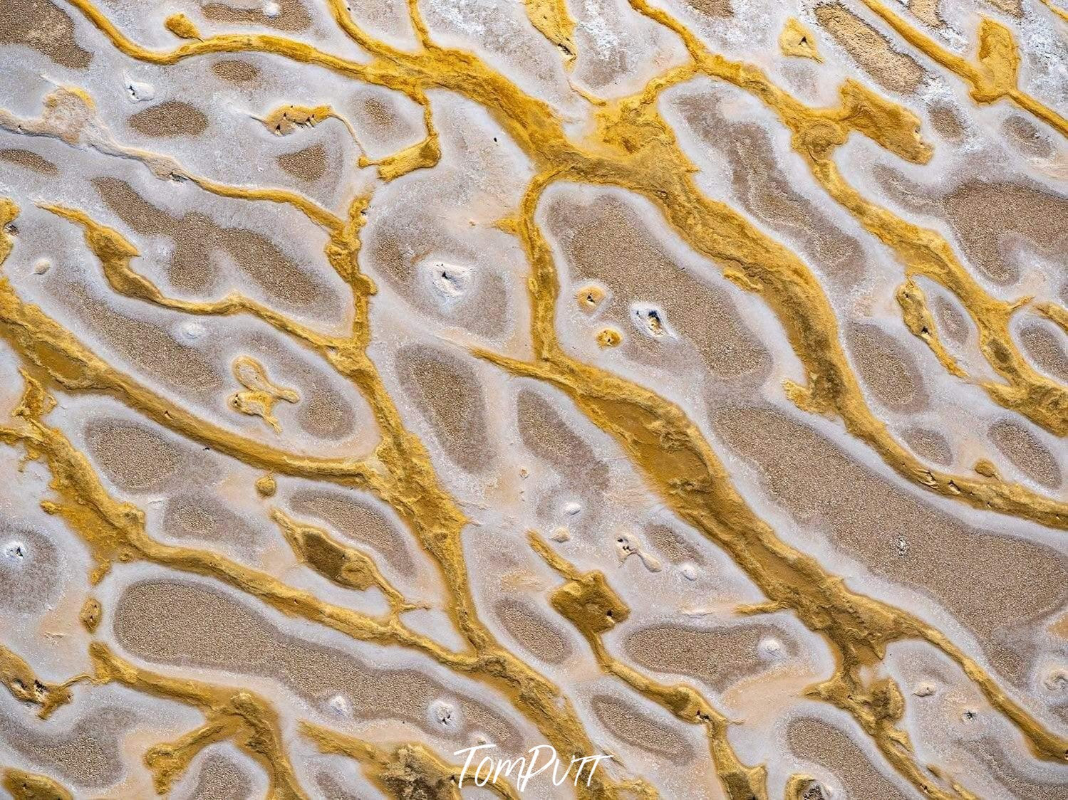 Golden leaf lines texture on a beach-like land, Liquid Gold