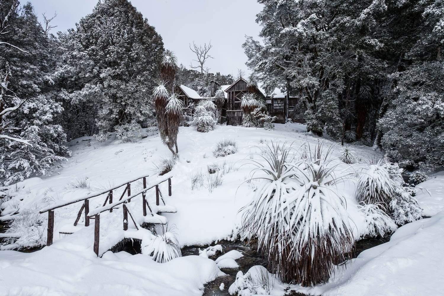 Area with grass, bushes, trees, and a house on a snowy land, Waldheim Chalet in snow, Cradle Mountain, Tasmania