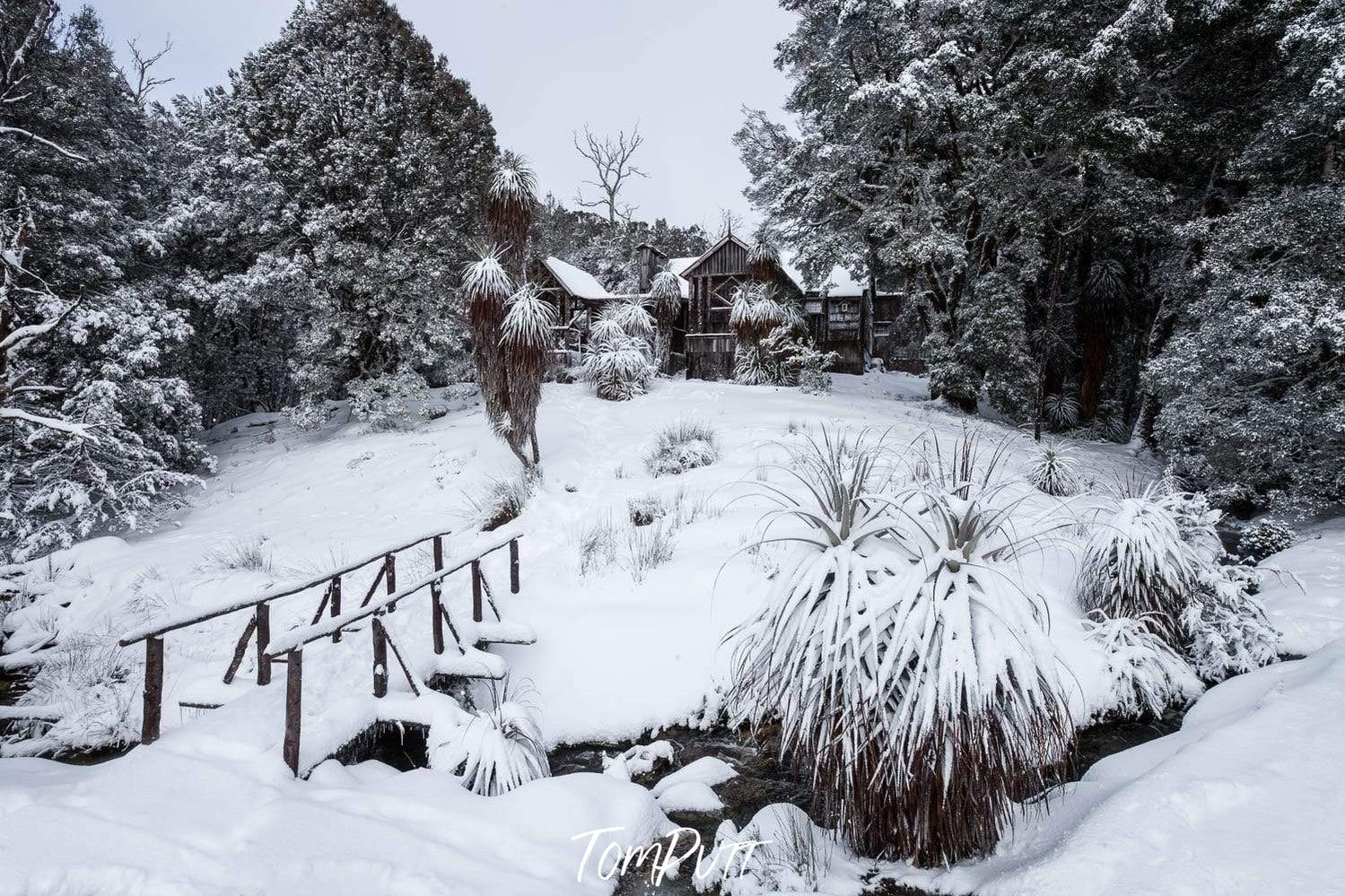 Area with grass, bushes, trees, and a house on a snowy land, Waldheim Chalet in snow, Cradle Mountain, Tasmania