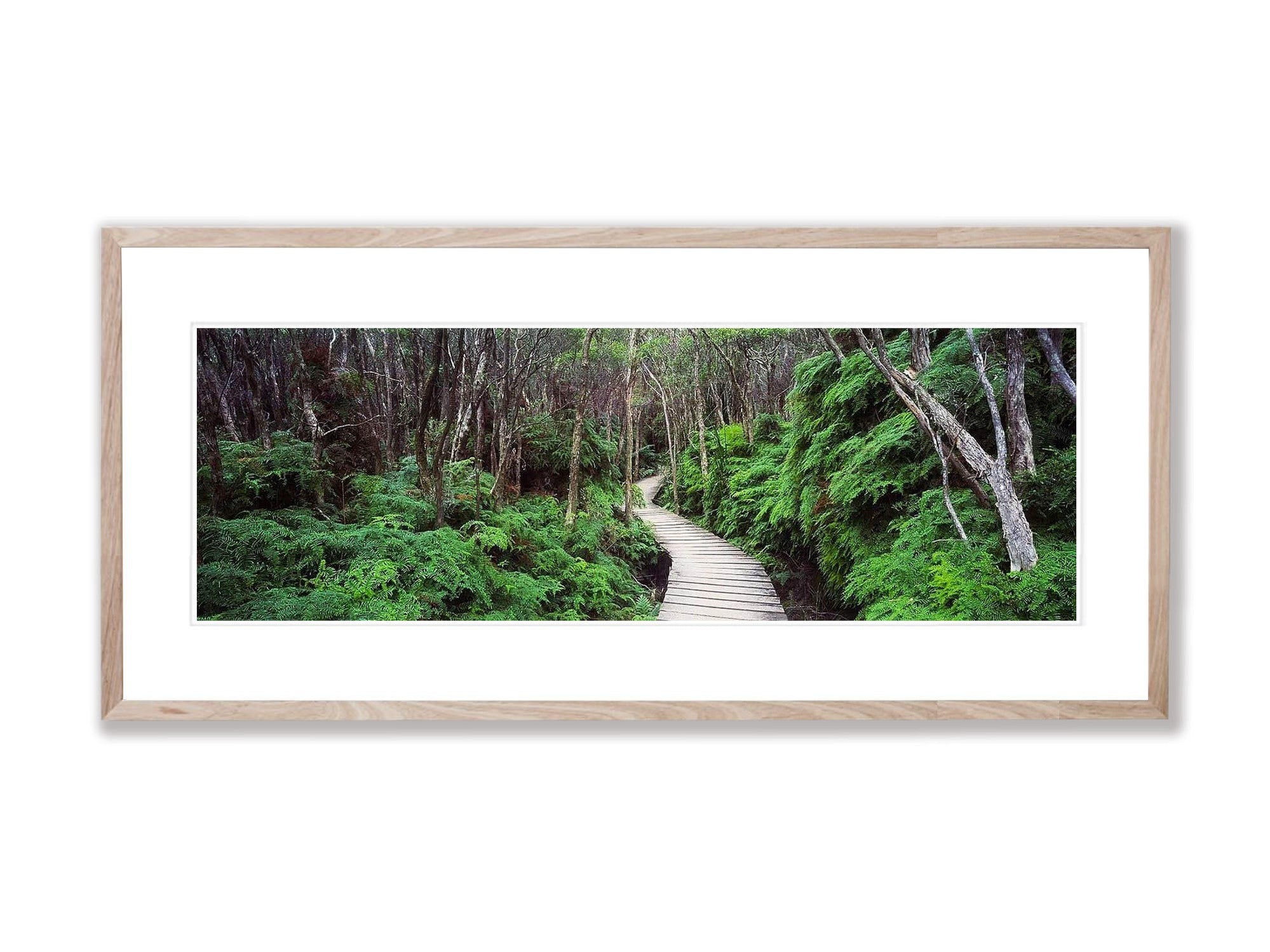 Walkway - Wilson's Promontory VIC